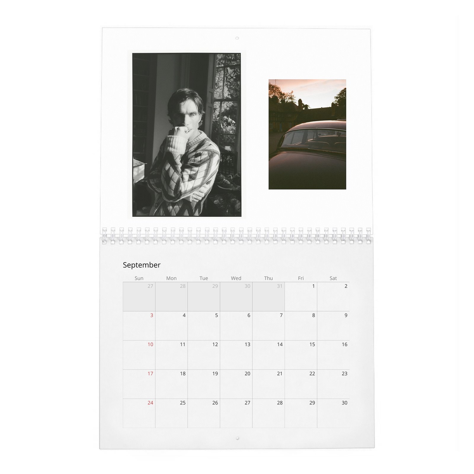 09 Cillian Murphy - Field Of His Own 2027 Wall Calendar