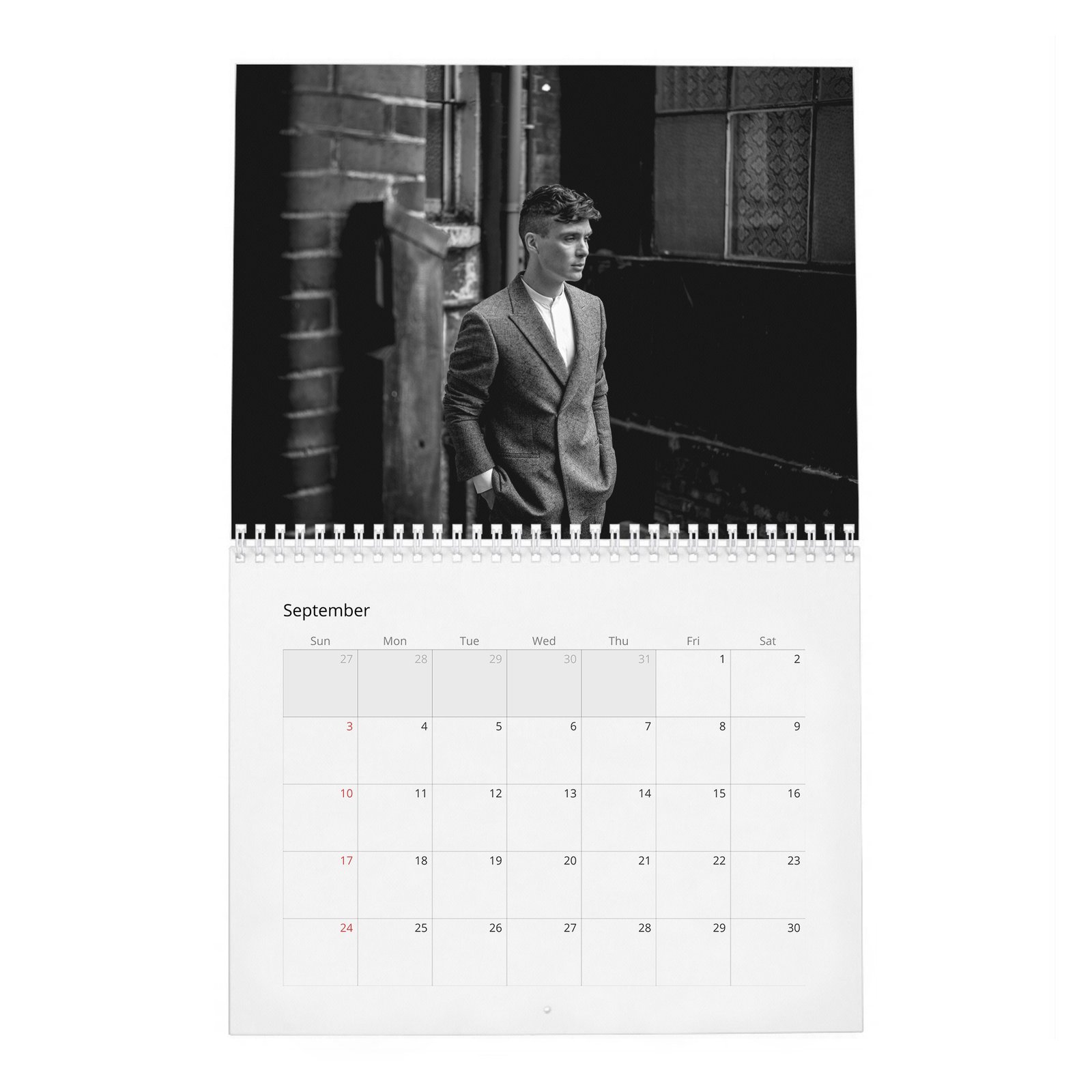 09 Cillian Murphy - So It Goes 2027 Wall Calendar