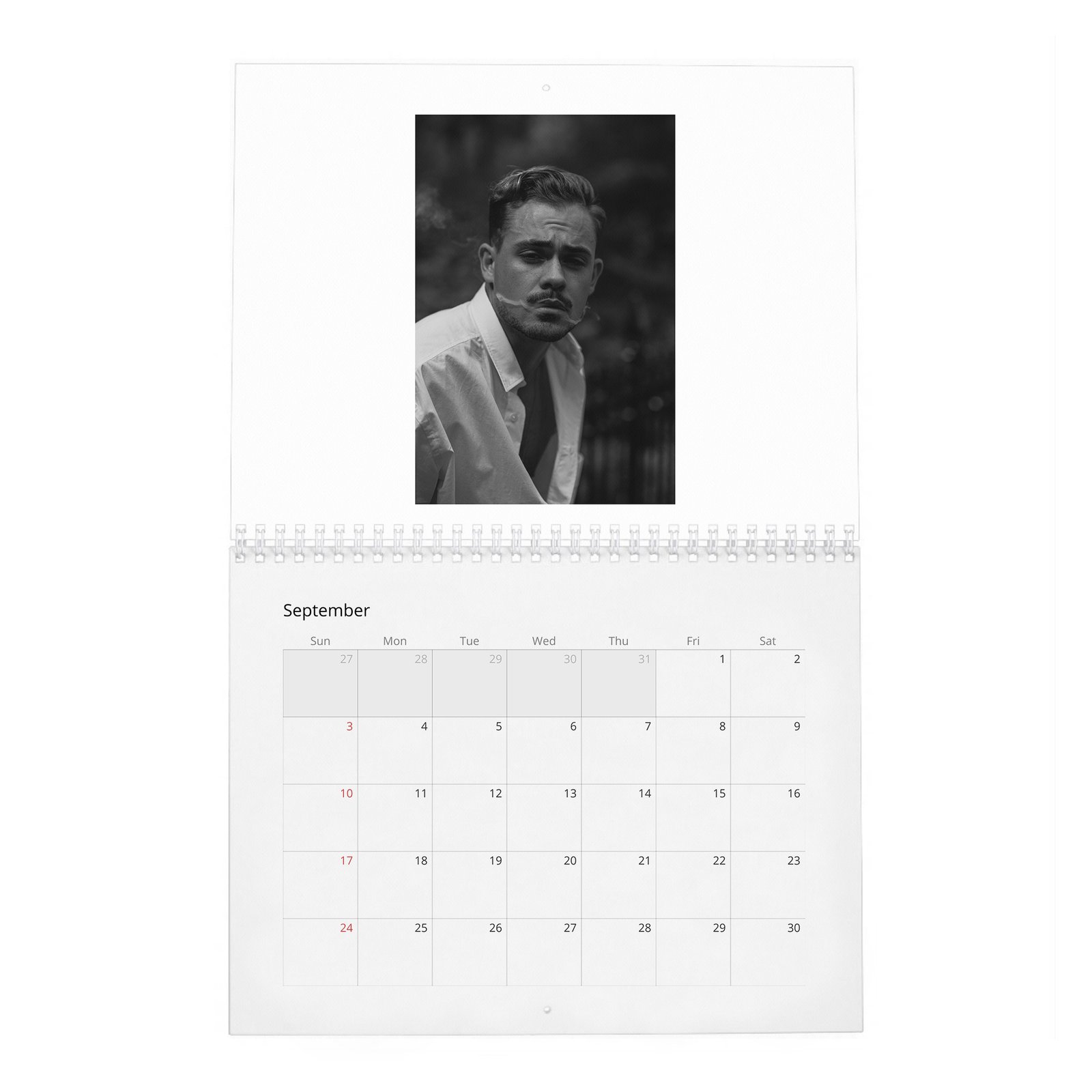 09 Dacre Montgomery - In Pursuit Of Curiosity 2027 Wall Calendar
