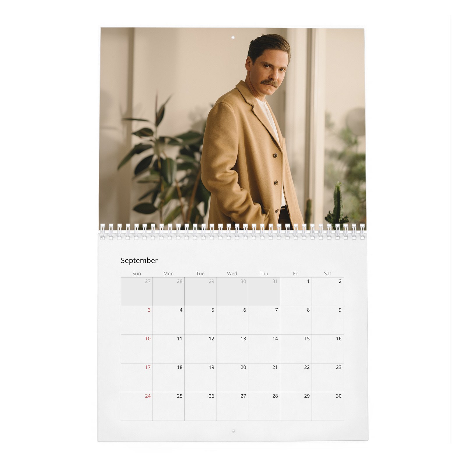 09 Daniel Bruhl - World Star Like Us 2027 Wall Calendar