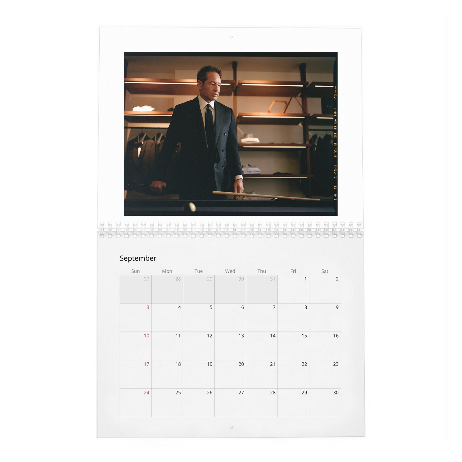 David Duchovny - Weekend In The Life 2027 Wall Calendar