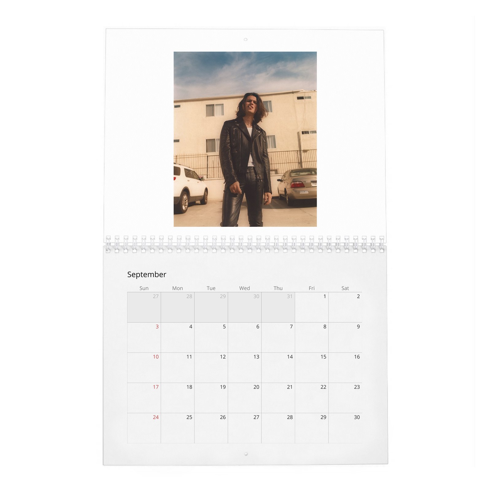 Felix Mallard - Flaunt 2027 Wall Calendar