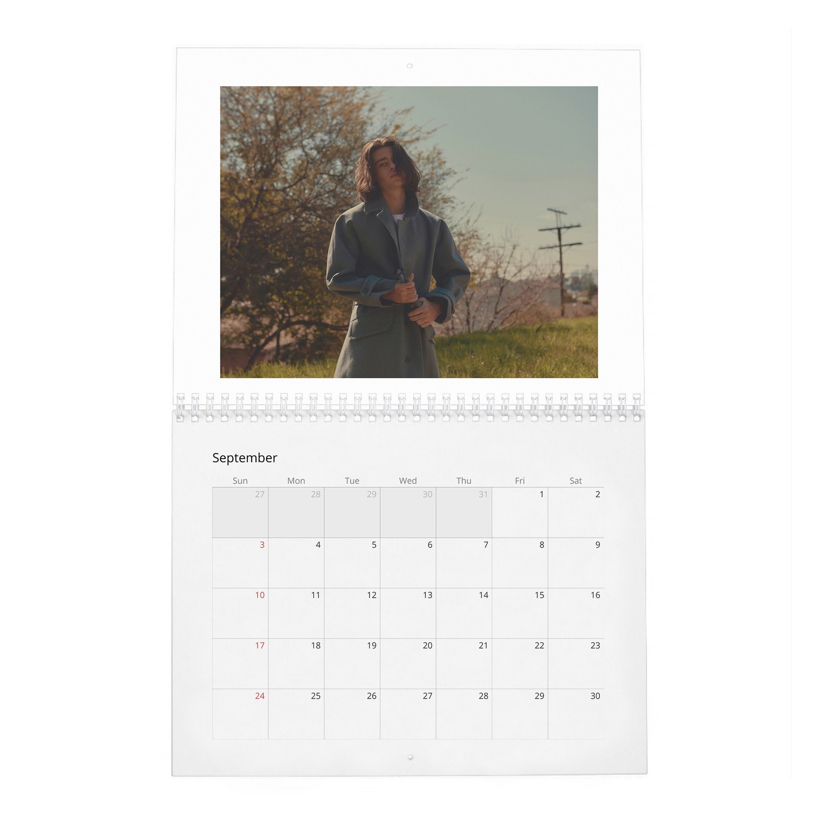 09 Felix Mallard - Move Slowly 2027 Wall Calendar