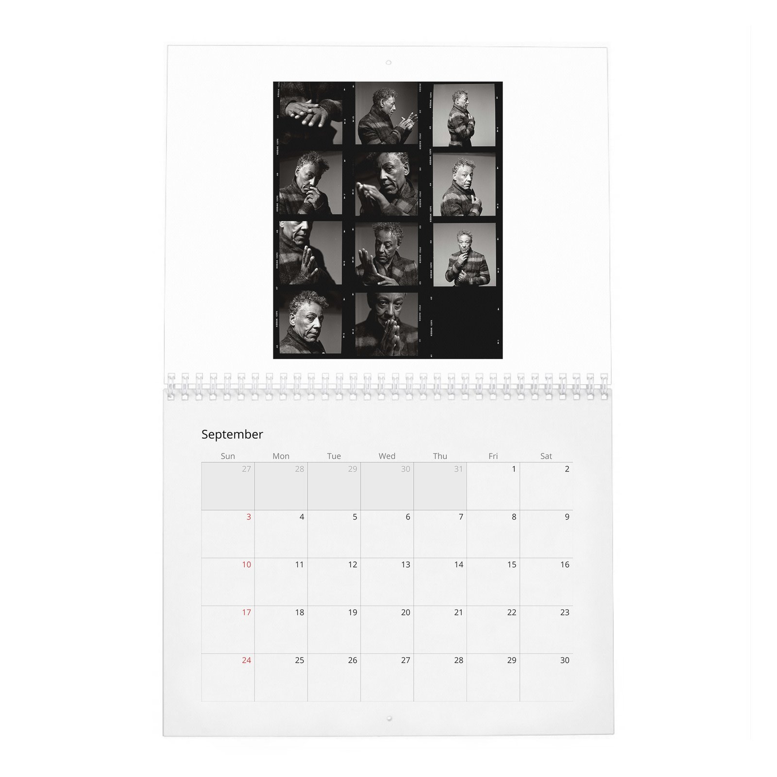 09 Giancarlo Esposito - Rogue 2027 Wall Calendar