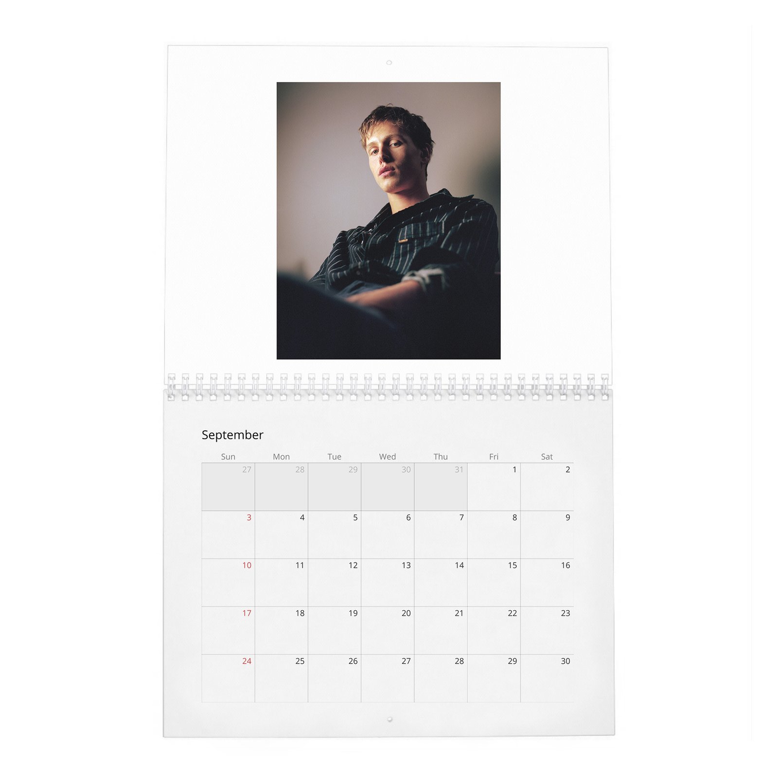 Harris Dickinson - Wonderland 2027 Wall Calendar