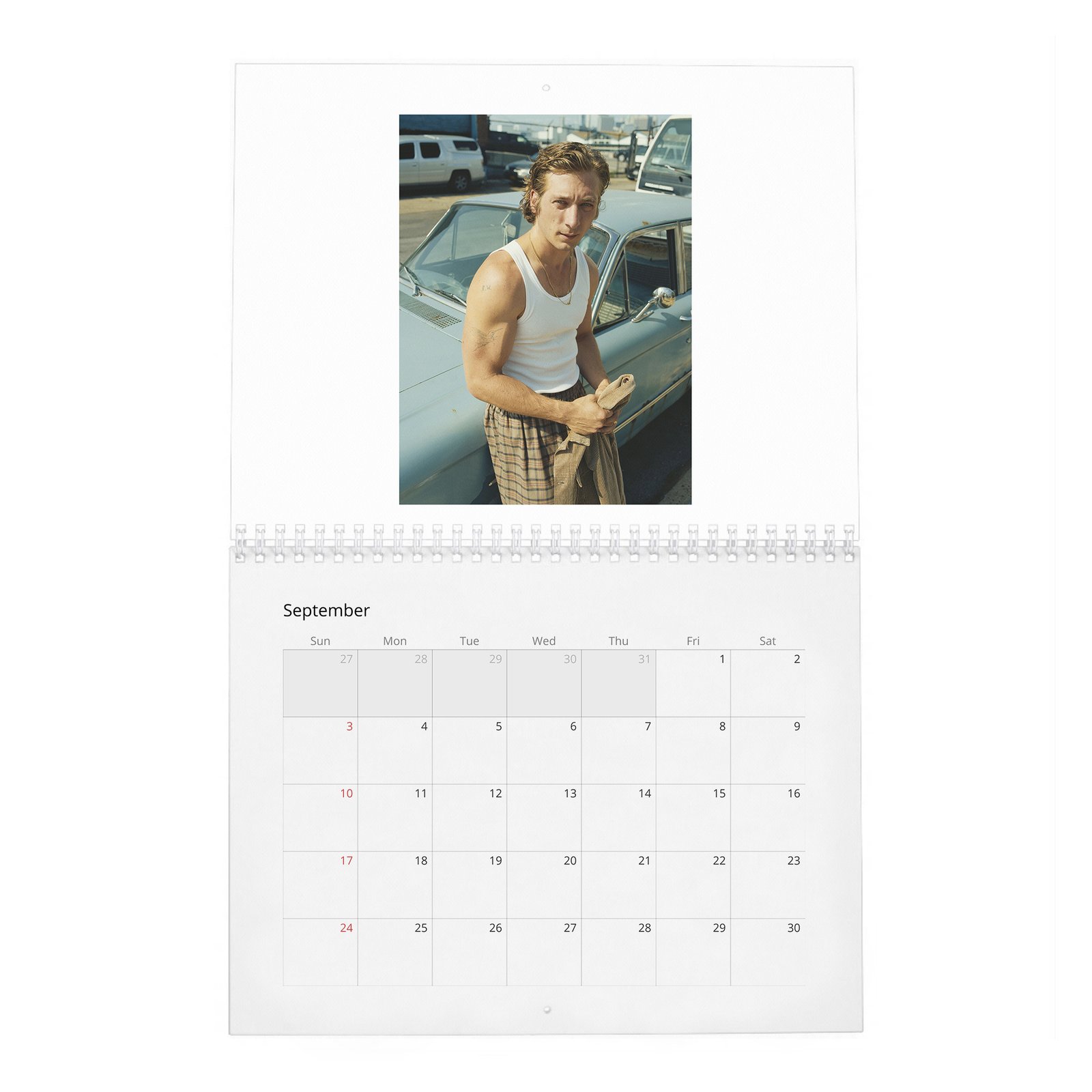 Jeremy Allen White - Yes Chef 2027 Wall Calendar