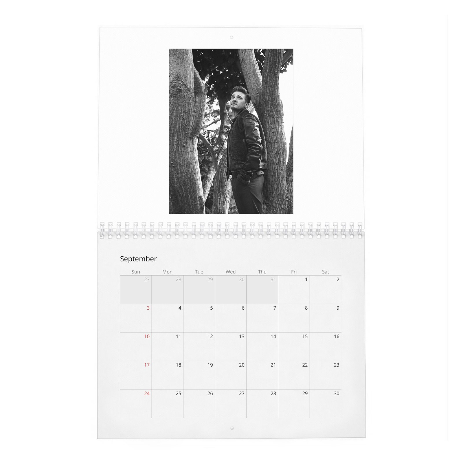 09 Jeremy Renner - On A Man's New Place In The World 2027 Wall Calendar