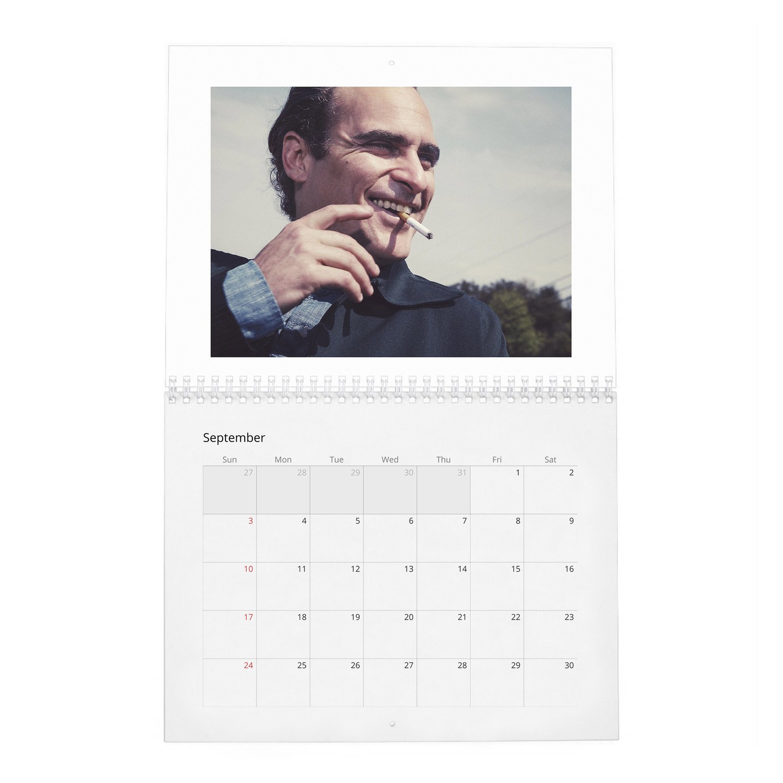 09 Joaquin Phoenix - Hollywood Rebel 2027 Wall Calendar