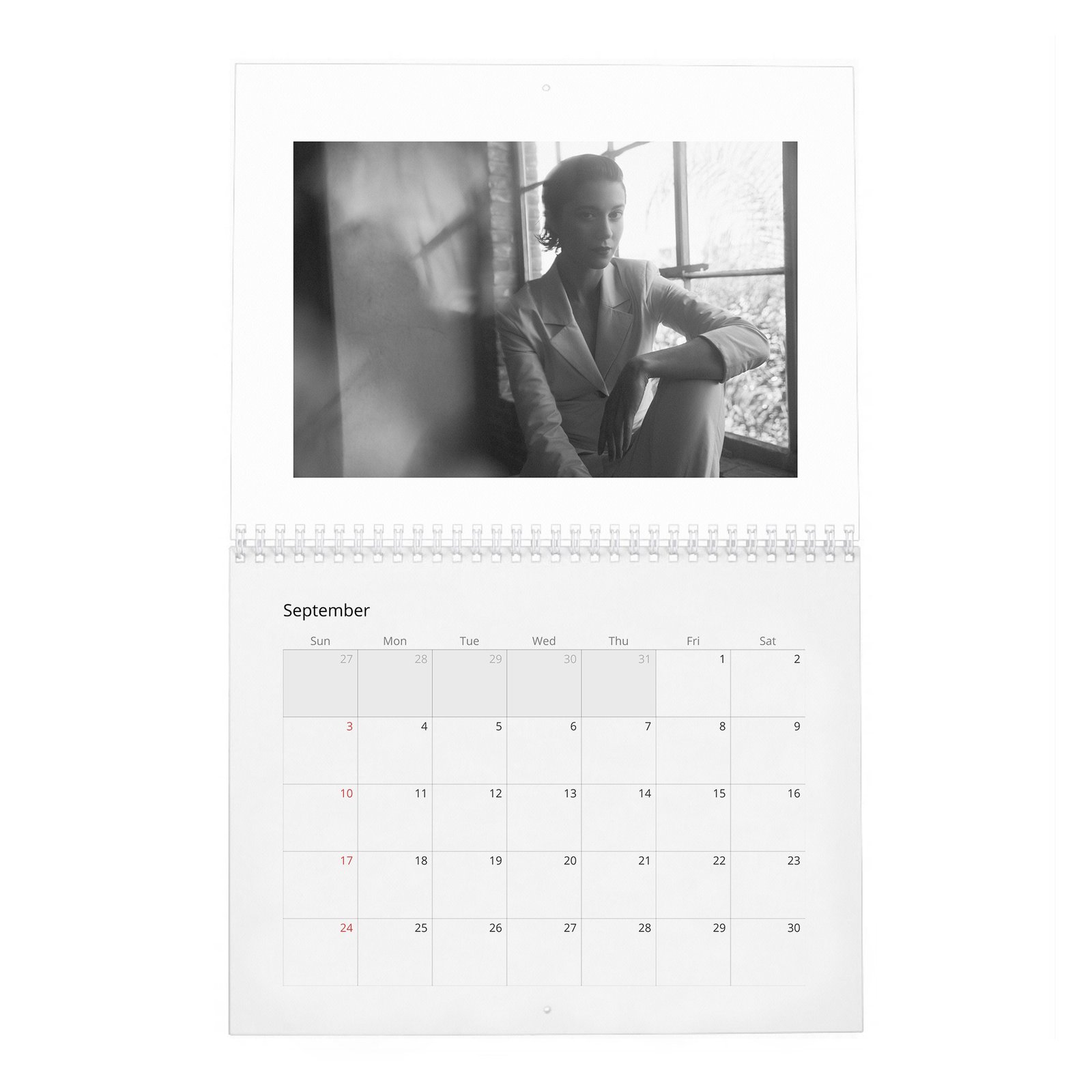 09 Mary Elizabeth Winstead - Laterals 2027 Wall Calendar