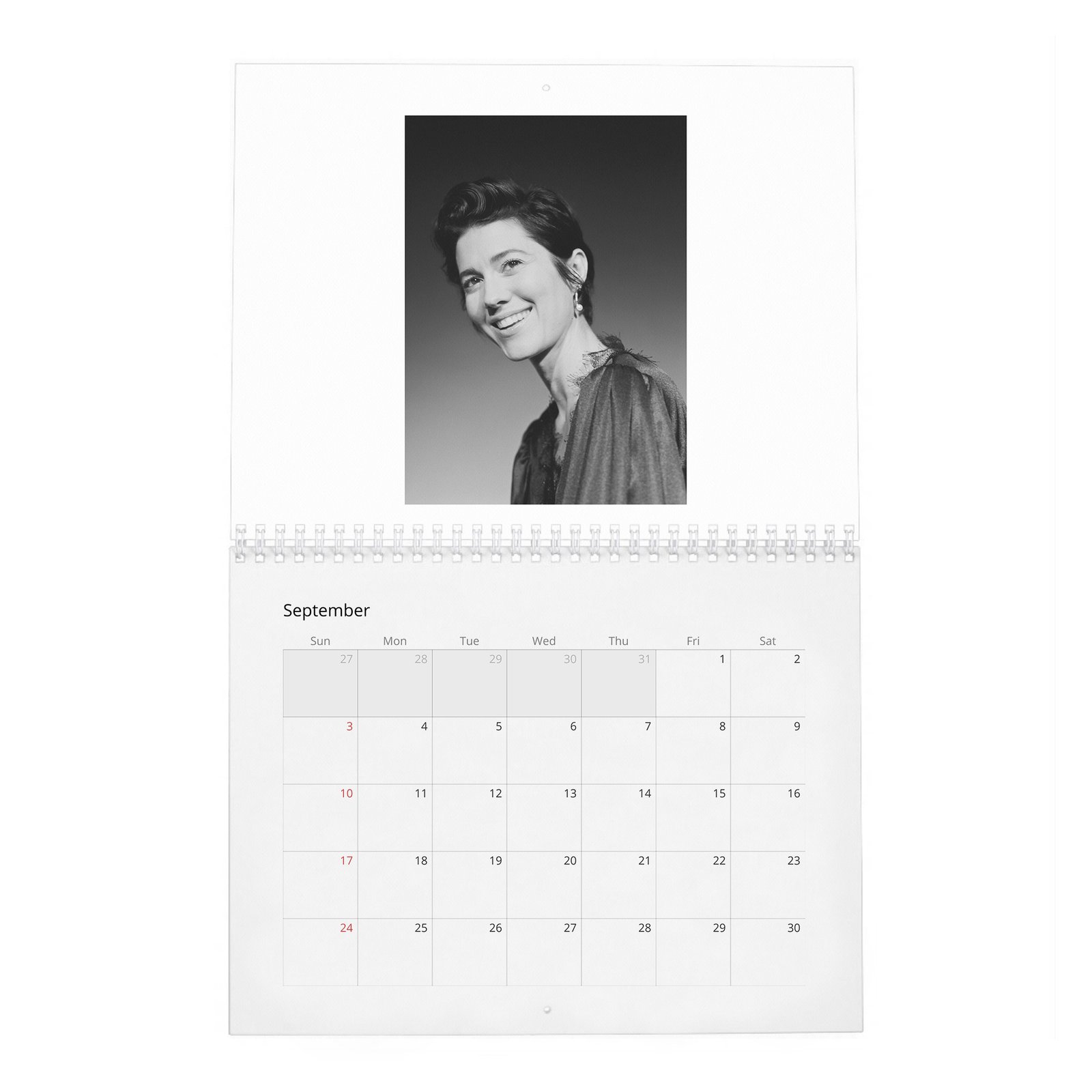09 Mary Elizabeth Winstead - She Loves Playing The Badass 2027 Wall Calendar