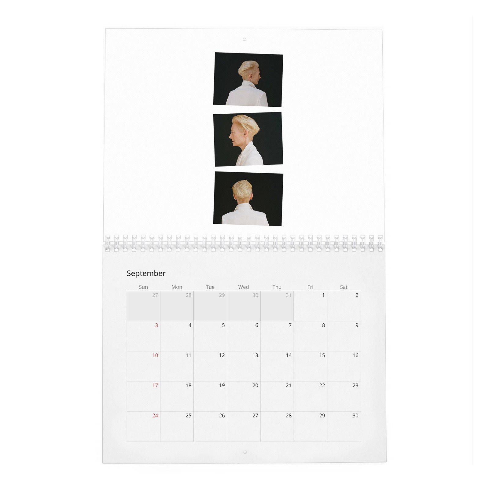 09 Tilda Swinton - Cine-Nerd 2027 Wall Calendar