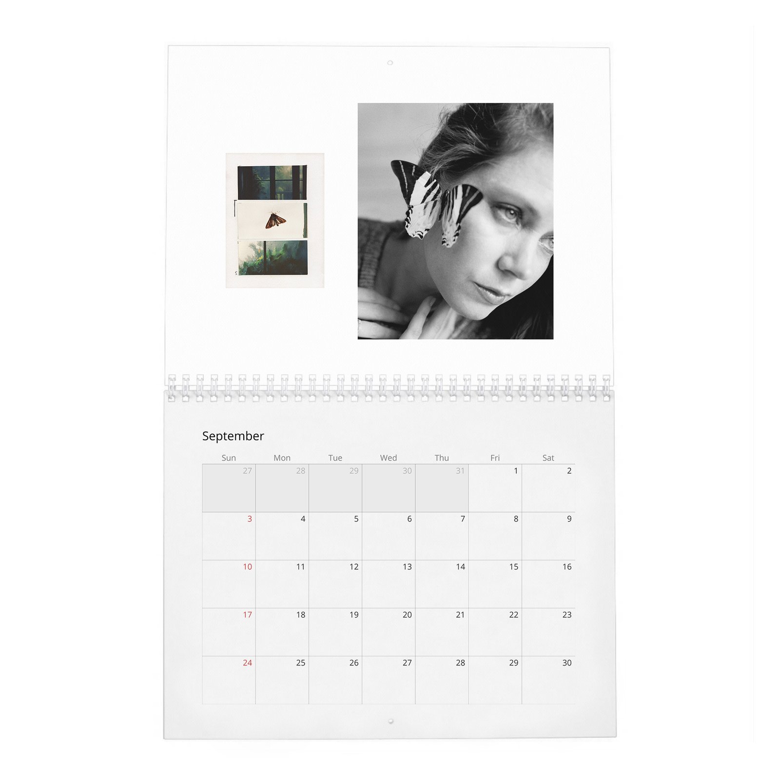 09 Amy Adams - So It Goes 2027 Wall Calendar