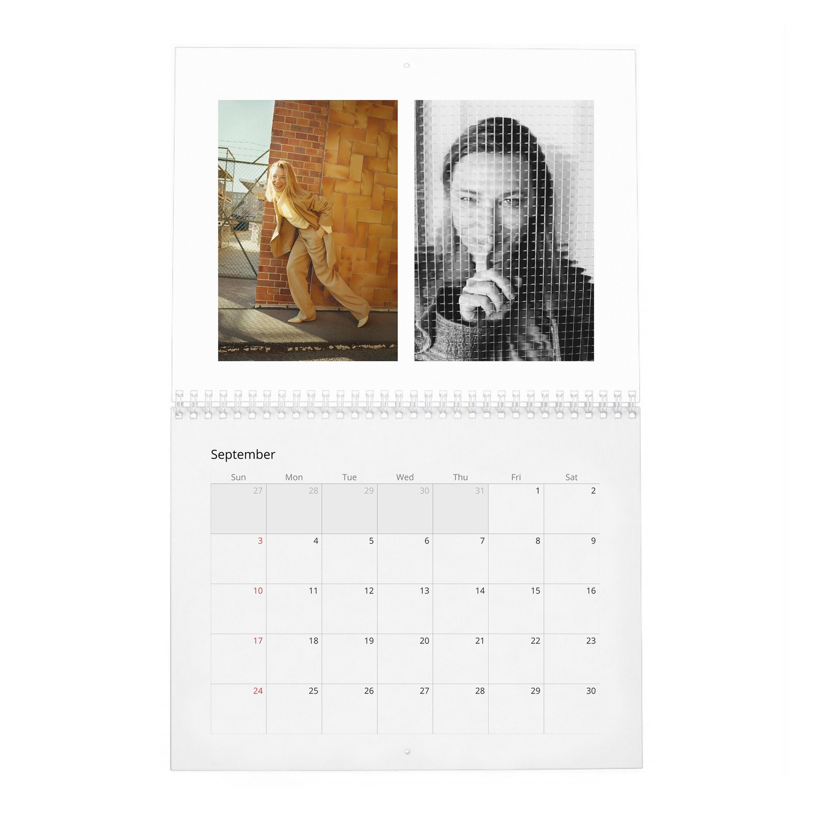 09 Cate Blanchett - Leading Light 2027 Wall Calendar