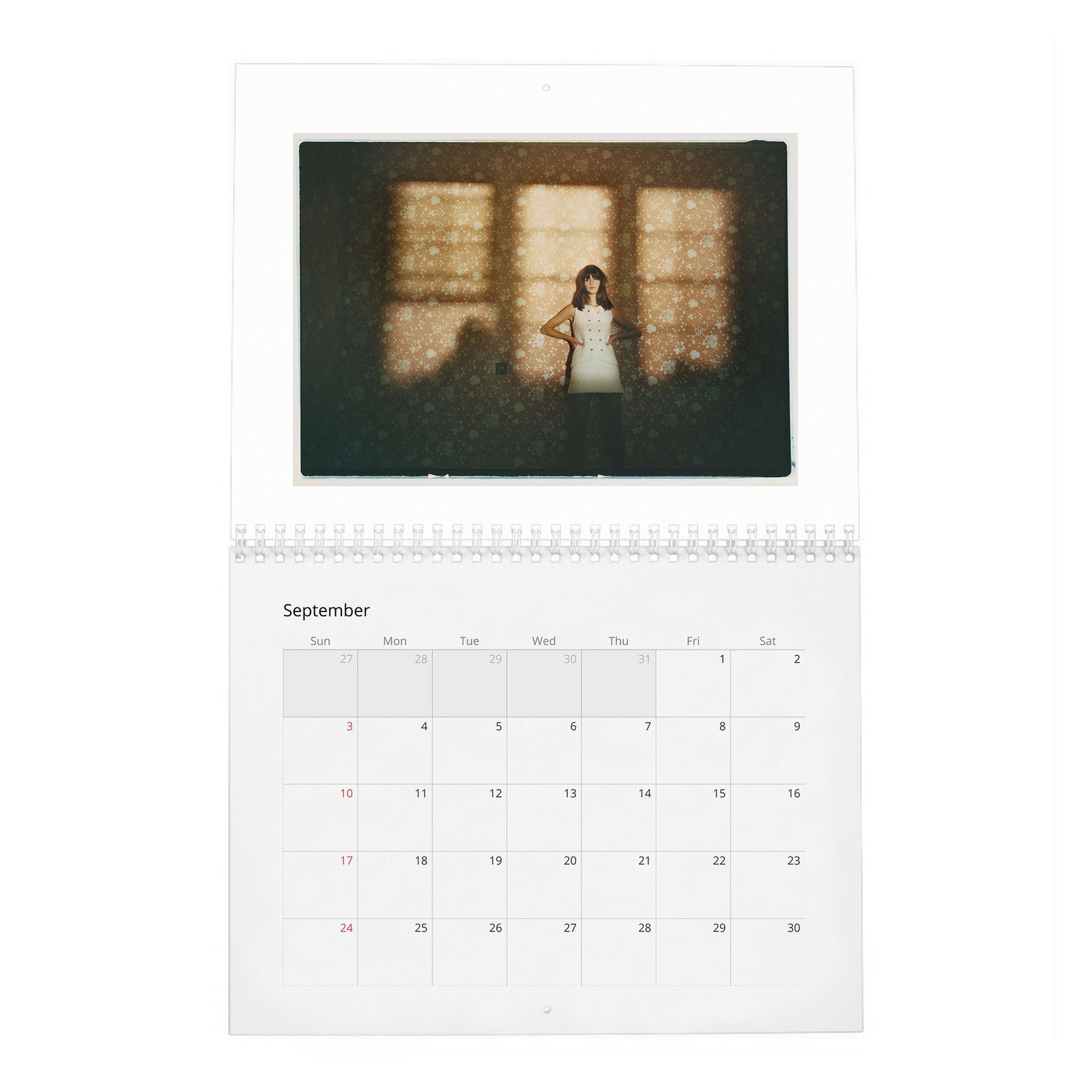09 Daisy Edgar-Jones - Starring Breaktrough Talent 2027 Wall Calendar
