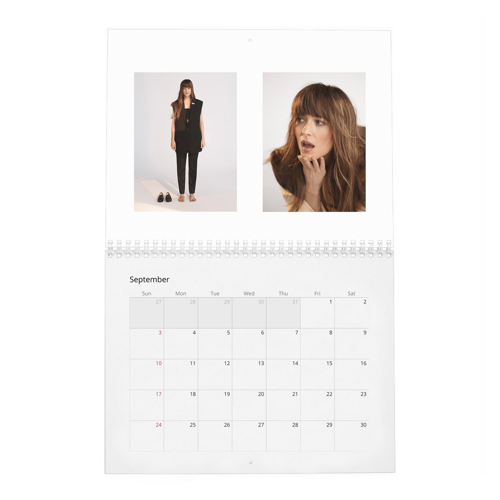 Dakota Johnson - Finding Her Light 2027 Wall Calendar
