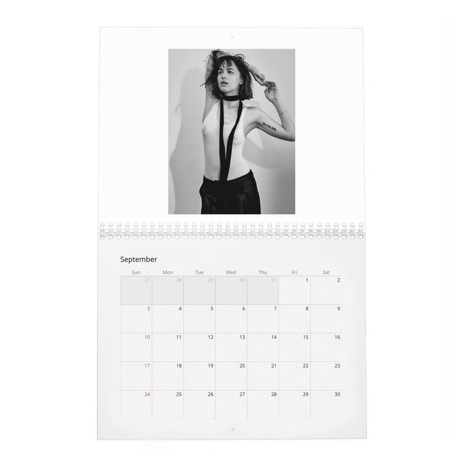 Dakota Johnson - Present A New Vision 2027 Wall Calendar