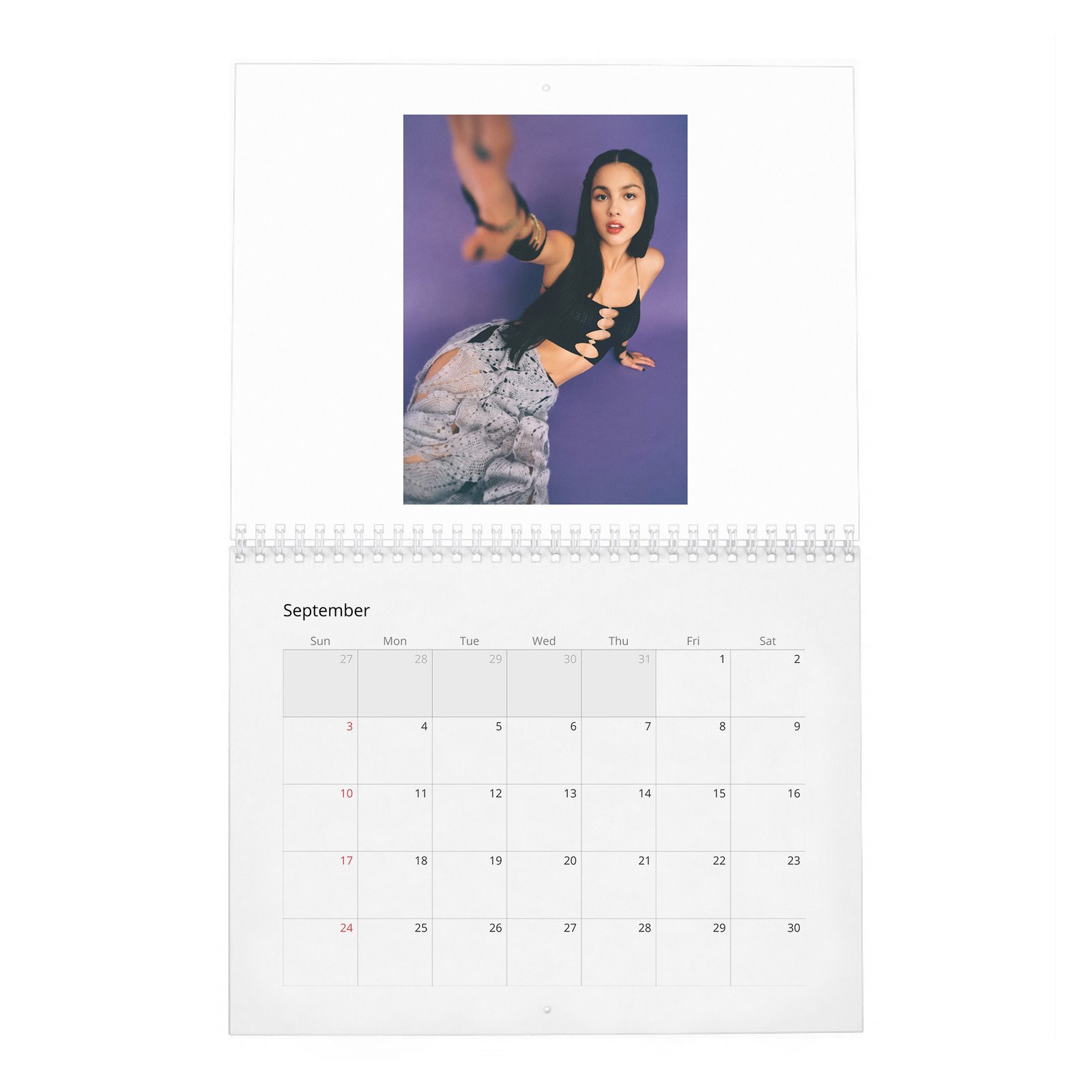 09 Olivia Rodrigo - Dreamer 2027 Wall Calendar