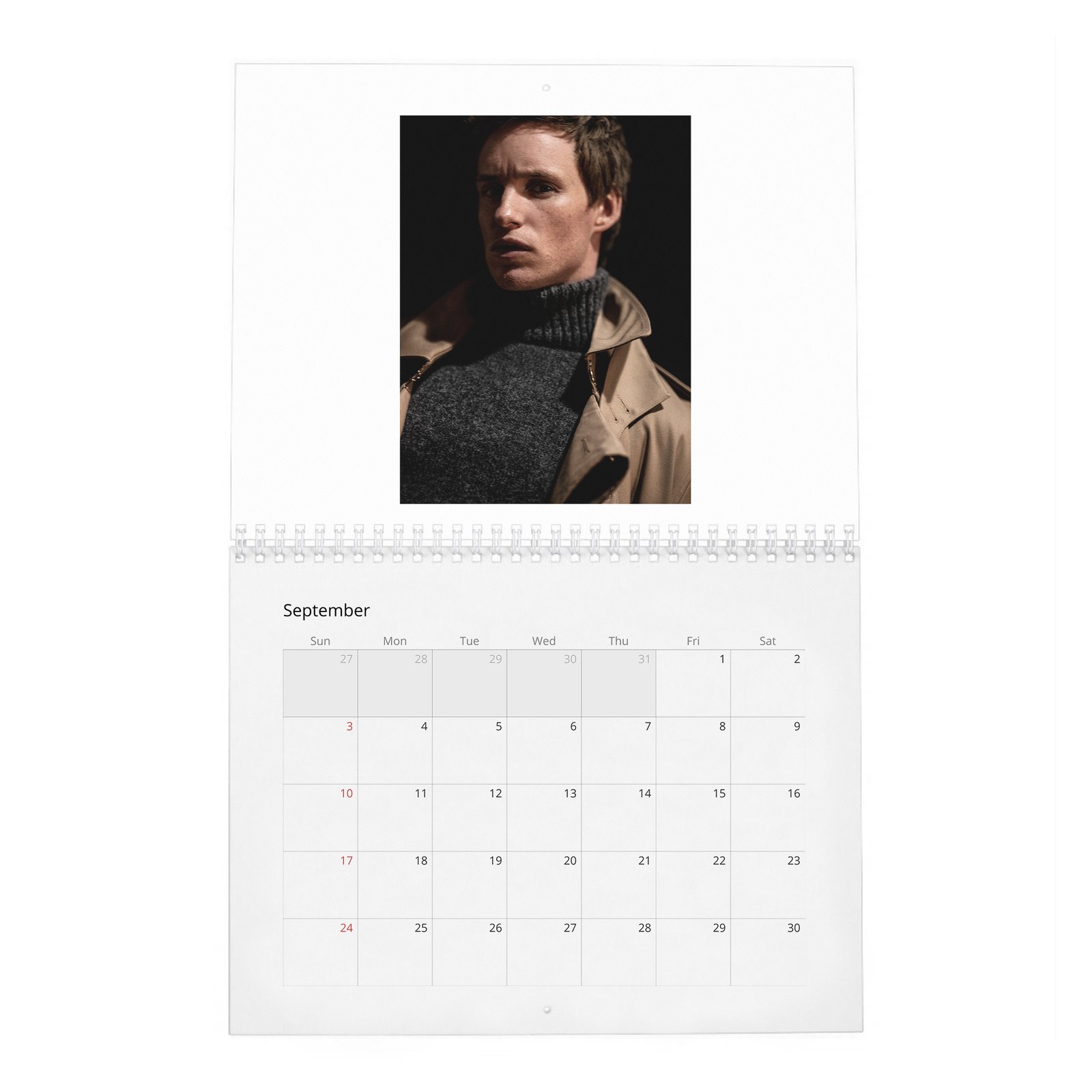 Eddie Redmayne - In Theory It Has Everything 2027 Wall Calendar