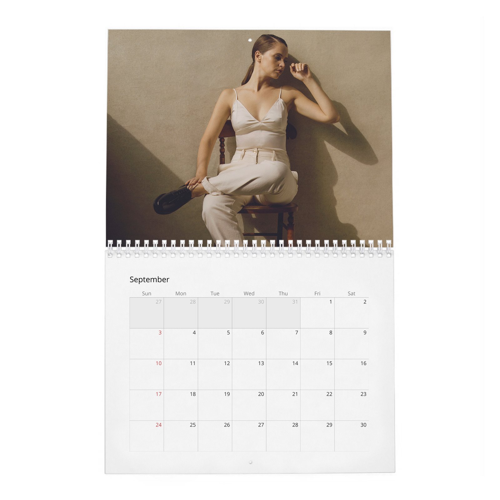 Felicity Jones - Rebel With A Cause 2027 Wall Calendar