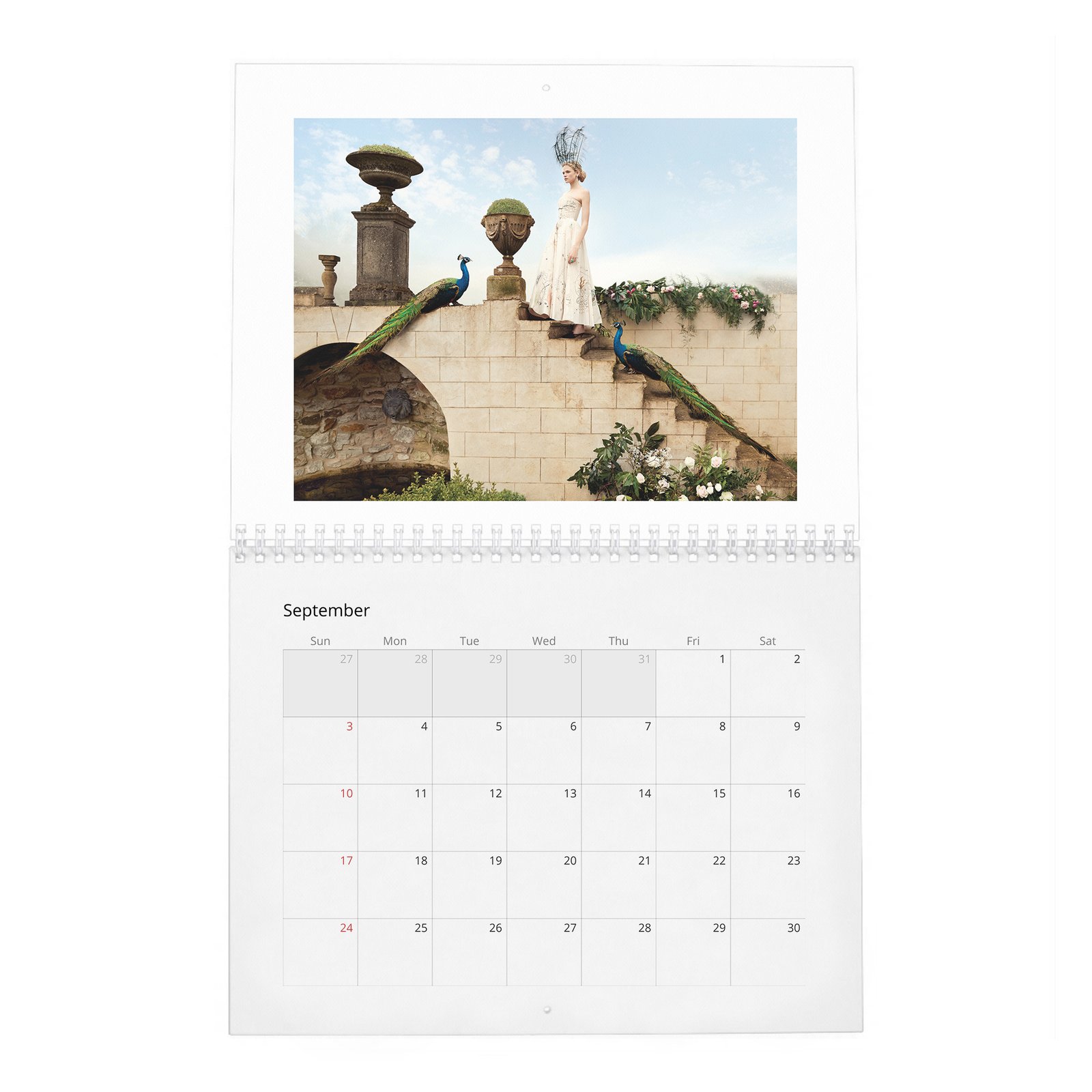 Gabriella Wilde - In Fine Feather 2027 Wall Calendar