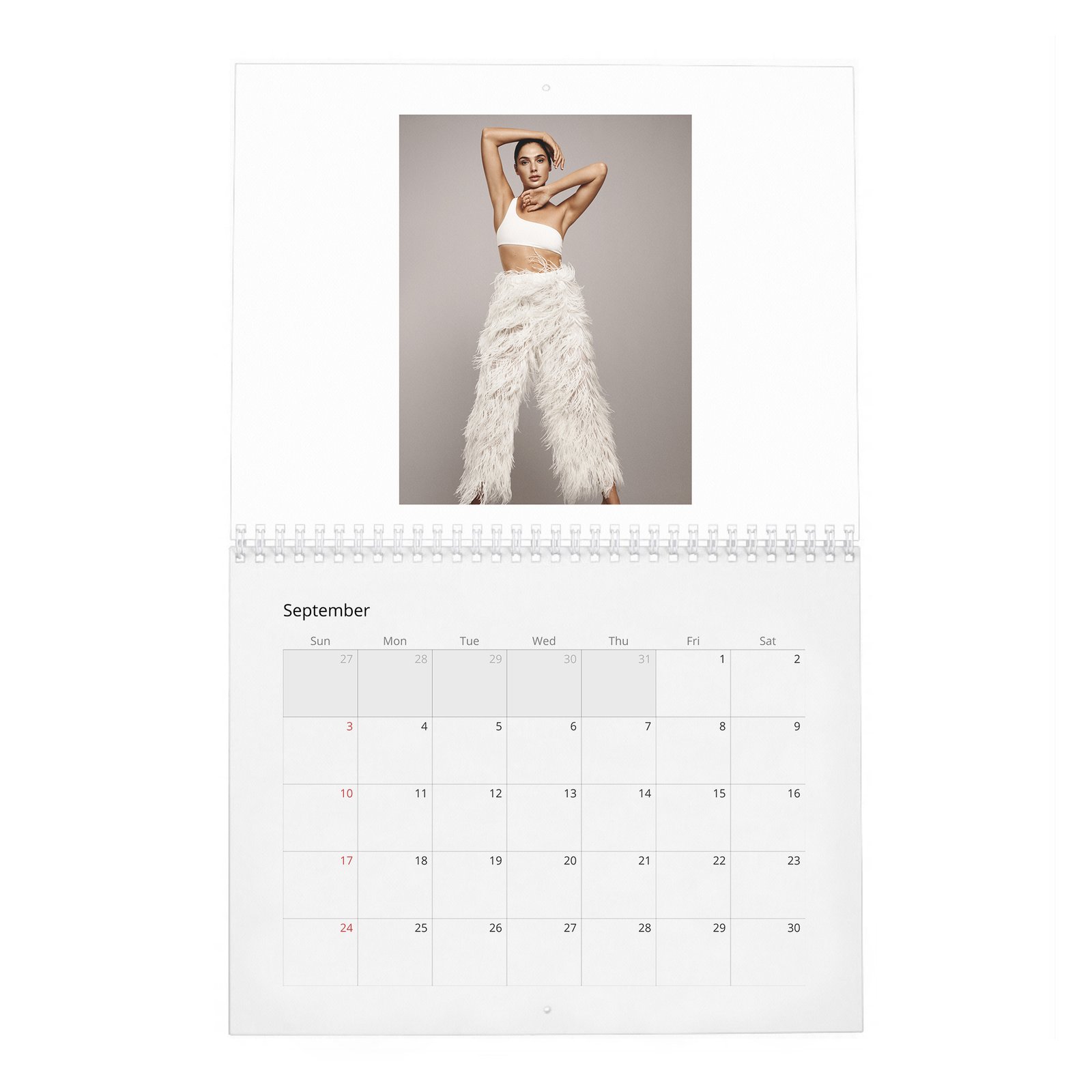 09 Gal Gadot - Real-Life Heroine 2027 Wall Calendar