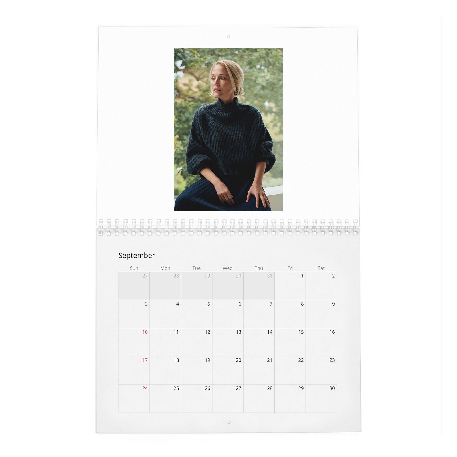 09 Gillian Anderson - Prime Time 2027 Wall Calendar