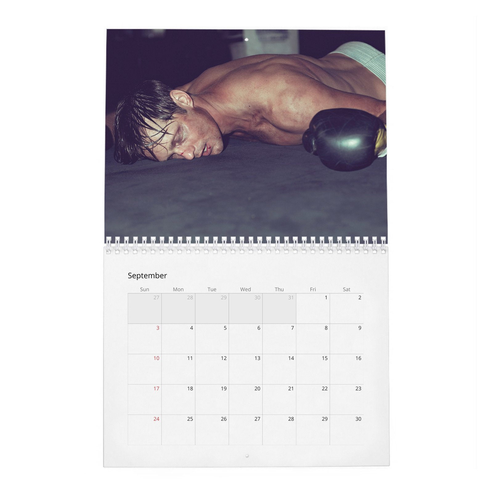 09 Alexander Skarsgard - Knockout At Fortune Gym 2027 Wall Calendar