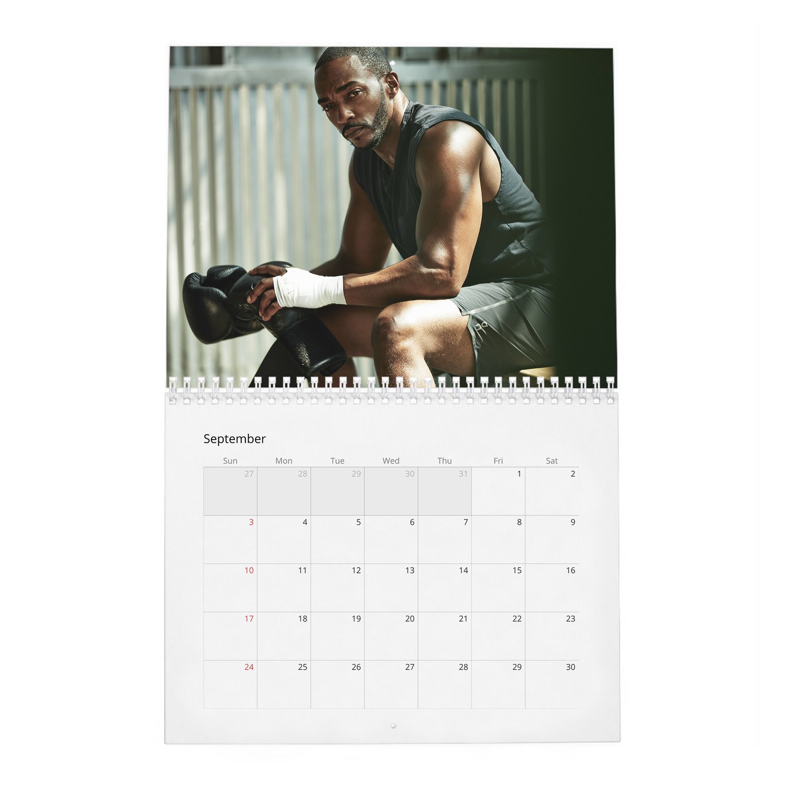 09 Anthony Mackie - Your New Captain 2027 Wall Calendar