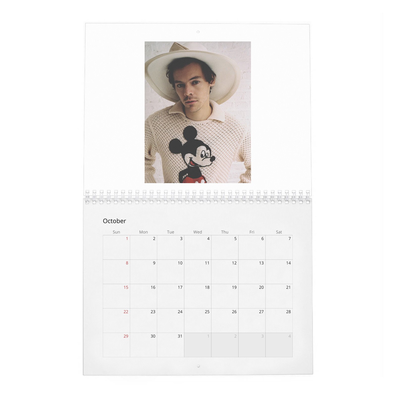 10 Harry Styles - House of Styles 2027 Wall Calendar