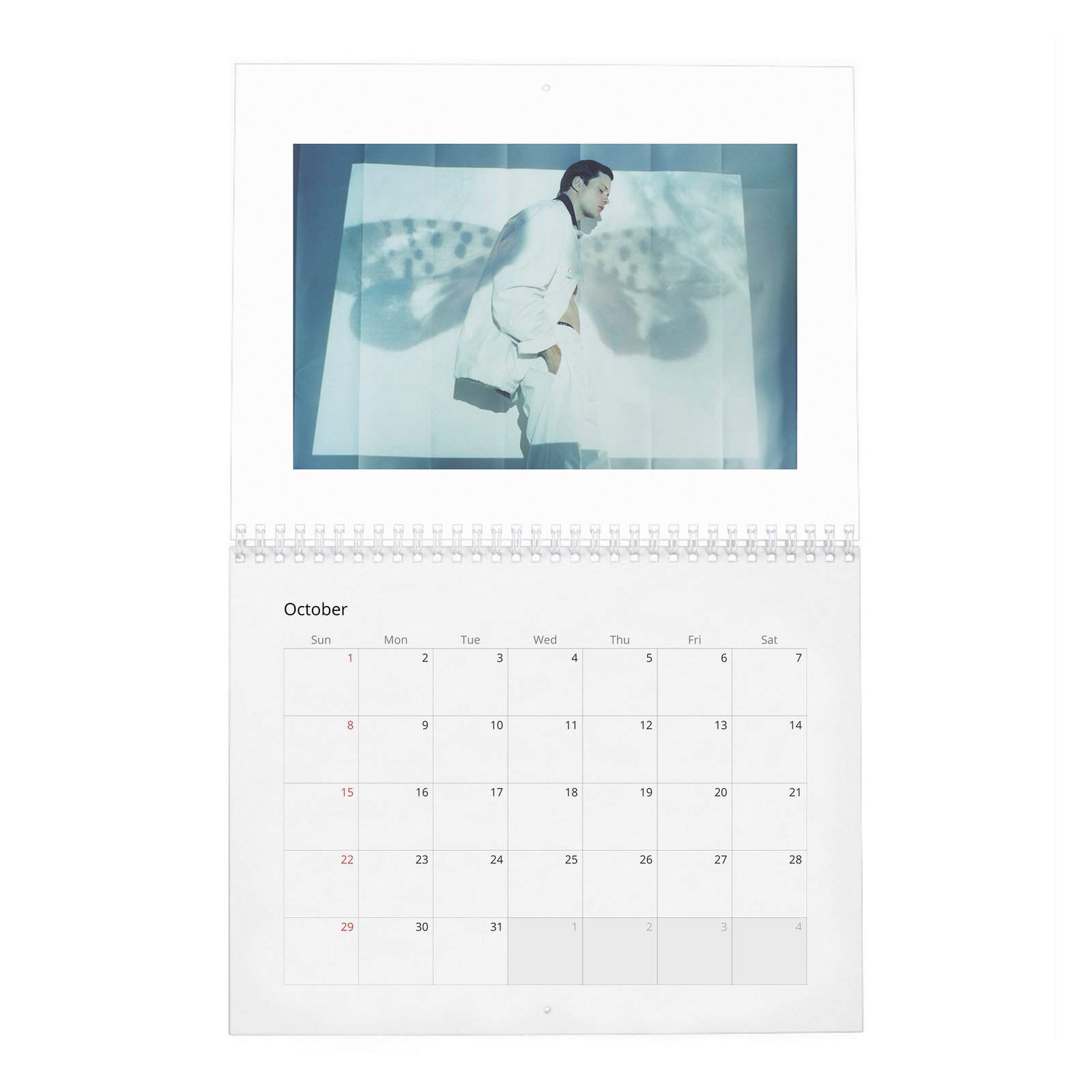 10 Bill Skarsgard - Another 2027 Wall Calendar