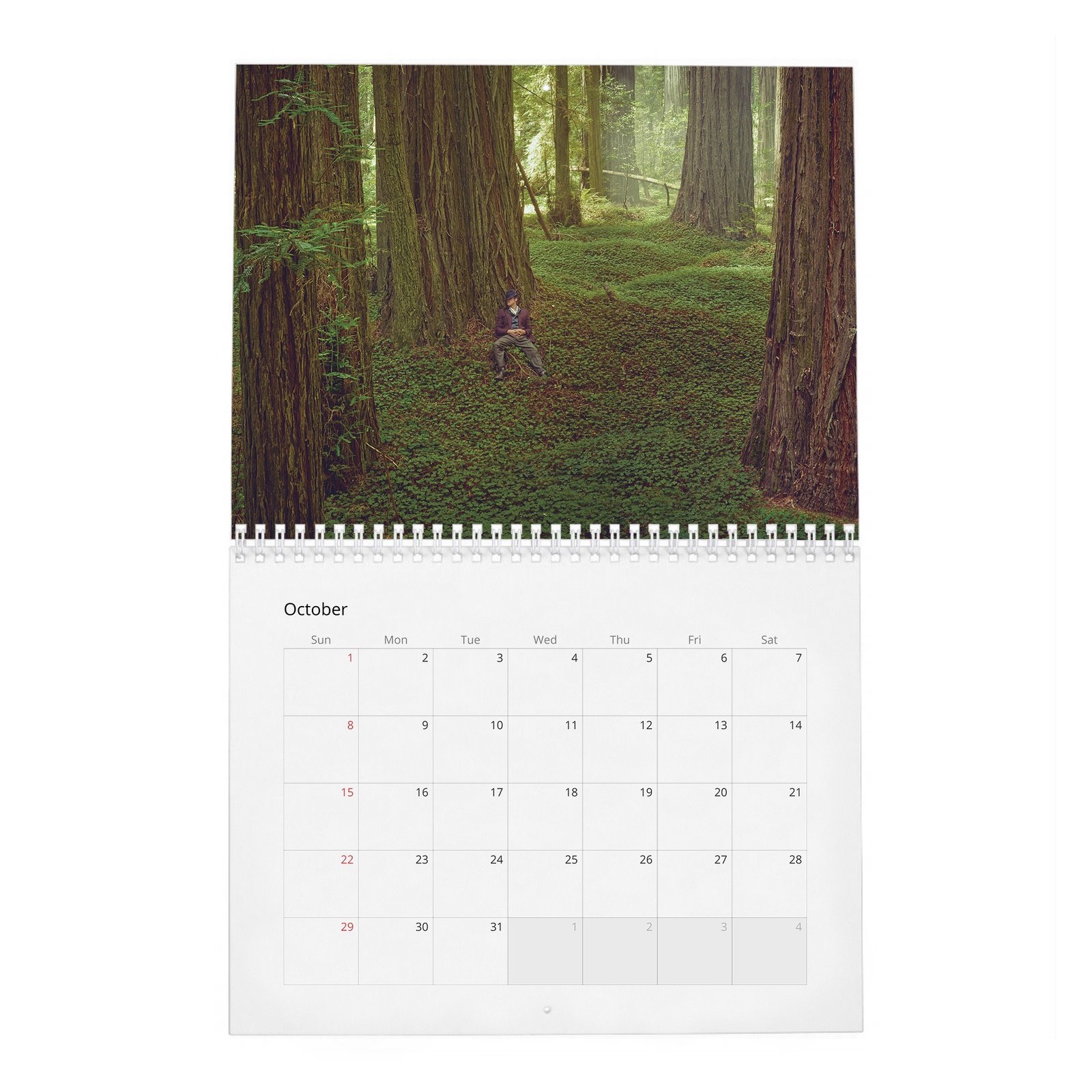 10 Brad Pitt - Forest Soul 2027 Wall Calendar