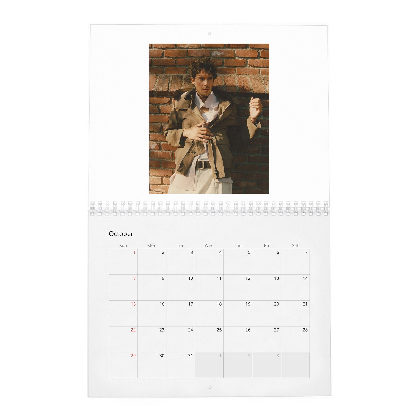 10 Cesar Domboy - Flaunt 2027 Wall Calendar