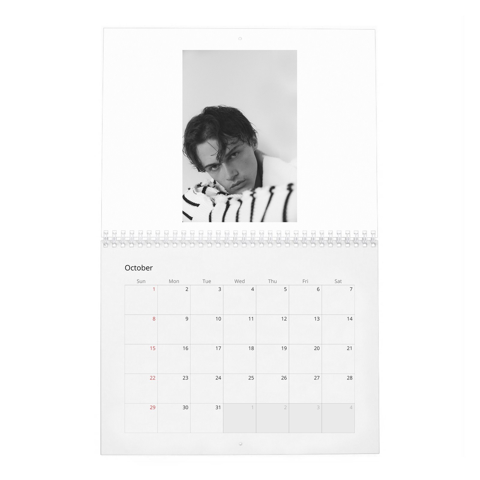 Christopher Briney - Passion For Acting 2027 Wall Calendar