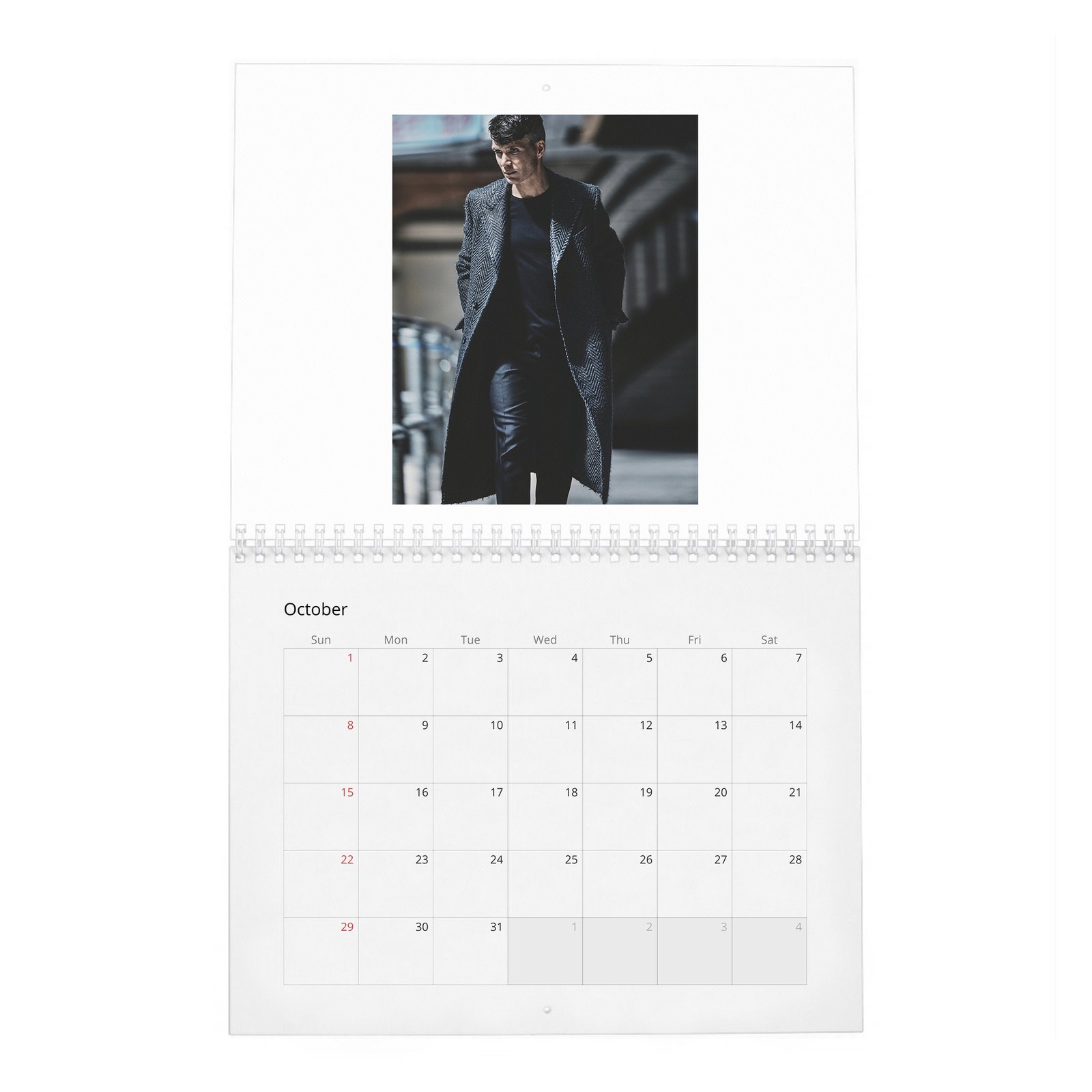 10 Cillian Murphy - Actor Of The Year 2027 Wall Calendar