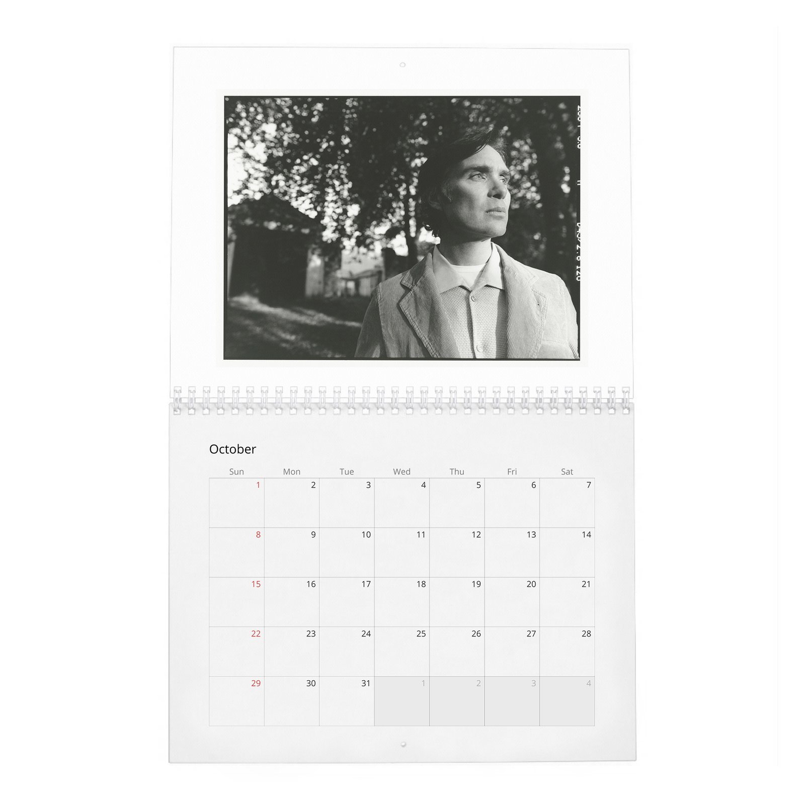 10 Cillian Murphy - Field Of His Own 2027 Wall Calendar
