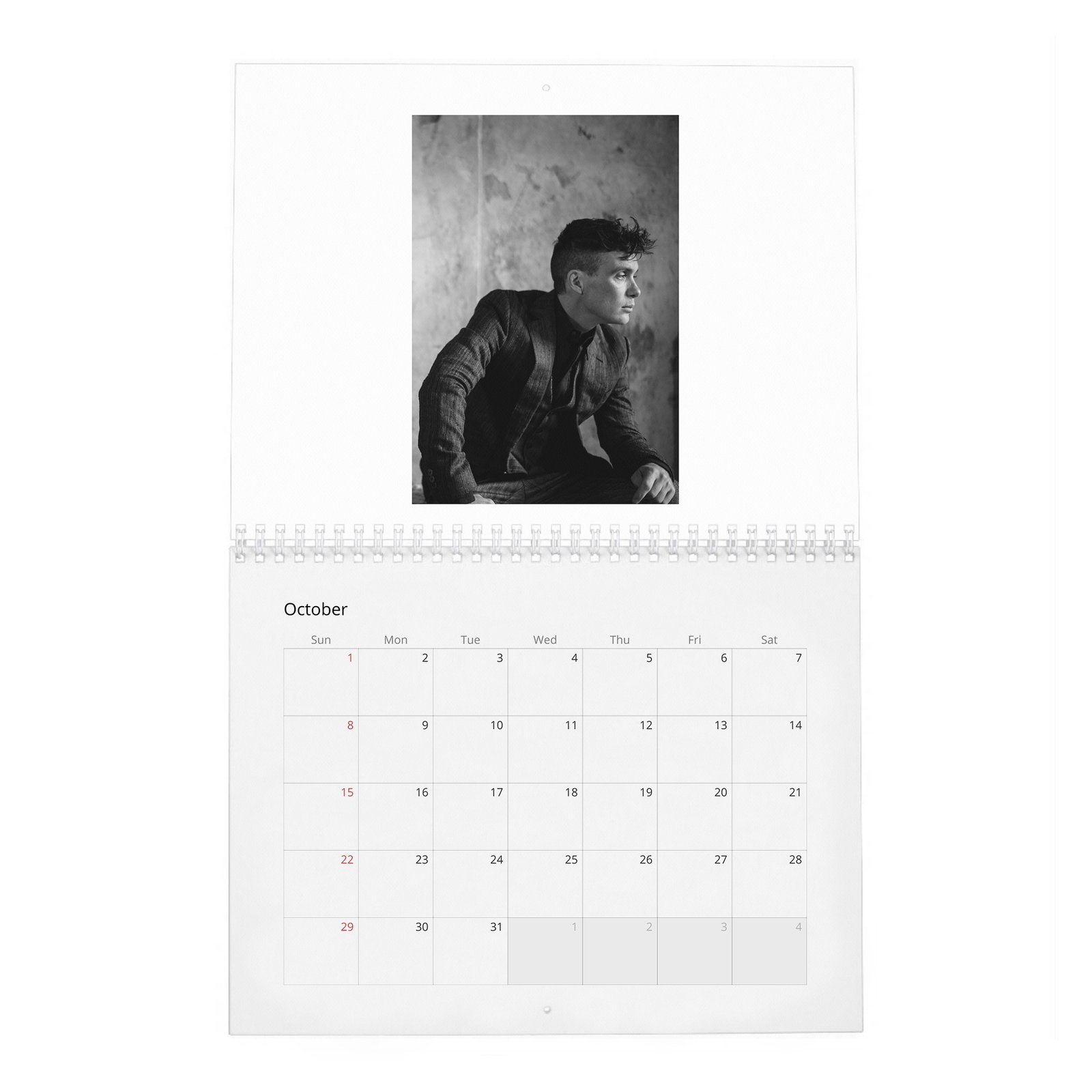 10 Cillian Murphy - So It Goes 2027 Wall Calendar