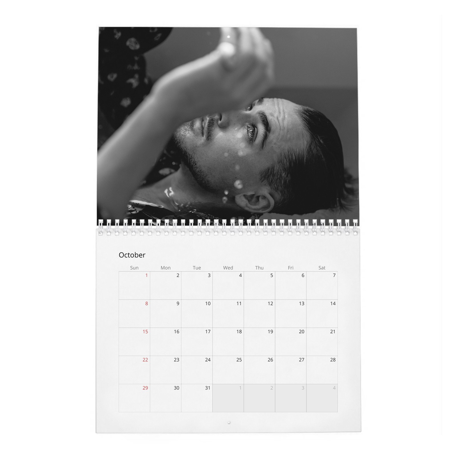 10 Dacre Montgomery - In Pursuit Of Curiosity 2027 Wall Calendar