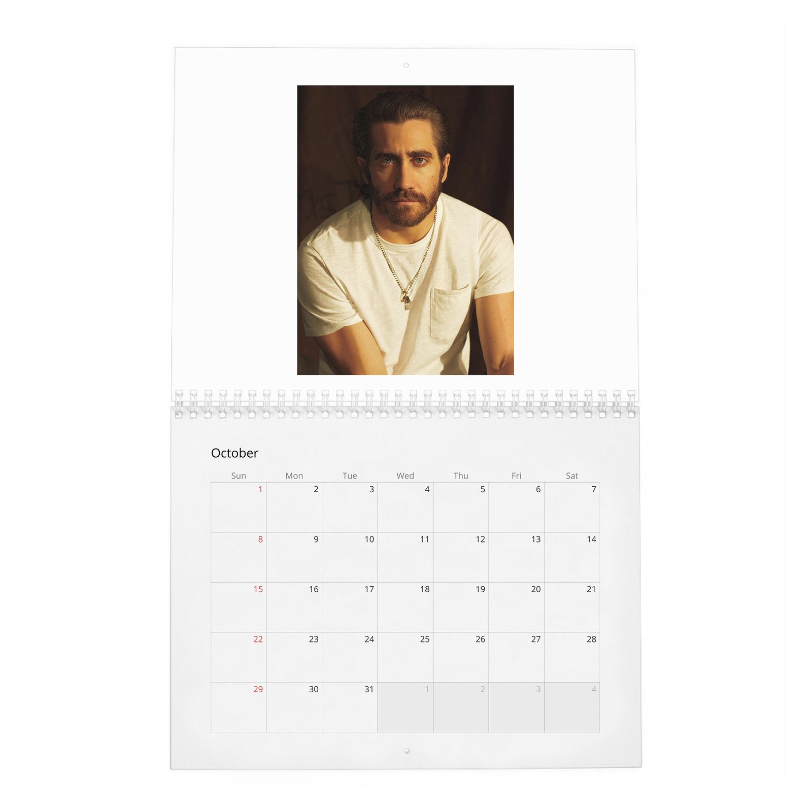 10 Jake Gyllenhaal - Man Of The World 2027 Wall Calendar