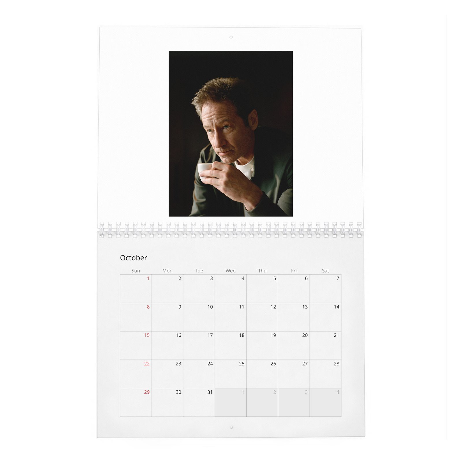 David Duchovny - Weekend In The Life 2027 Wall Calendar
