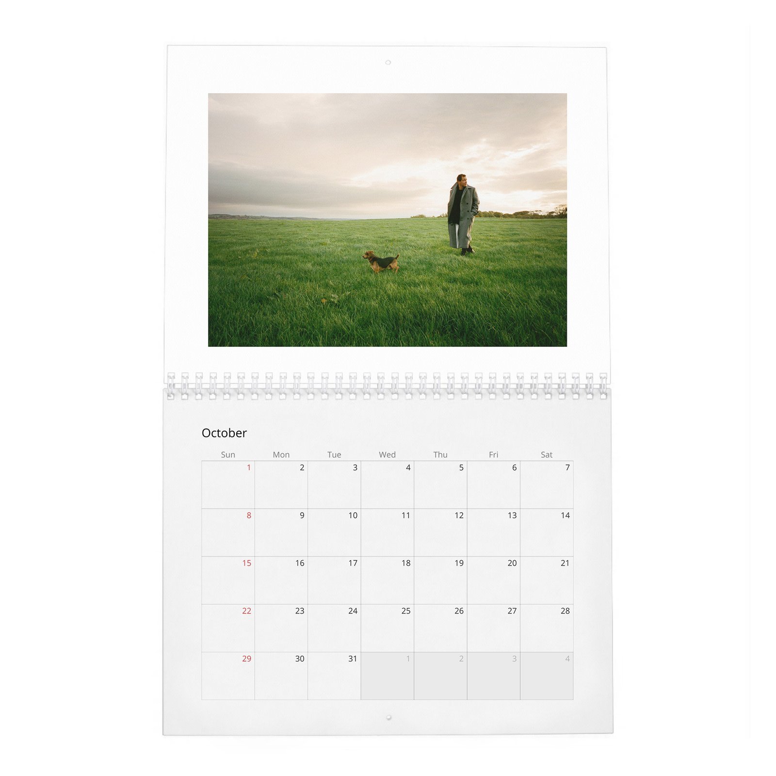 10 Dominic West - King Of The Castle 2027 Wall Calendar