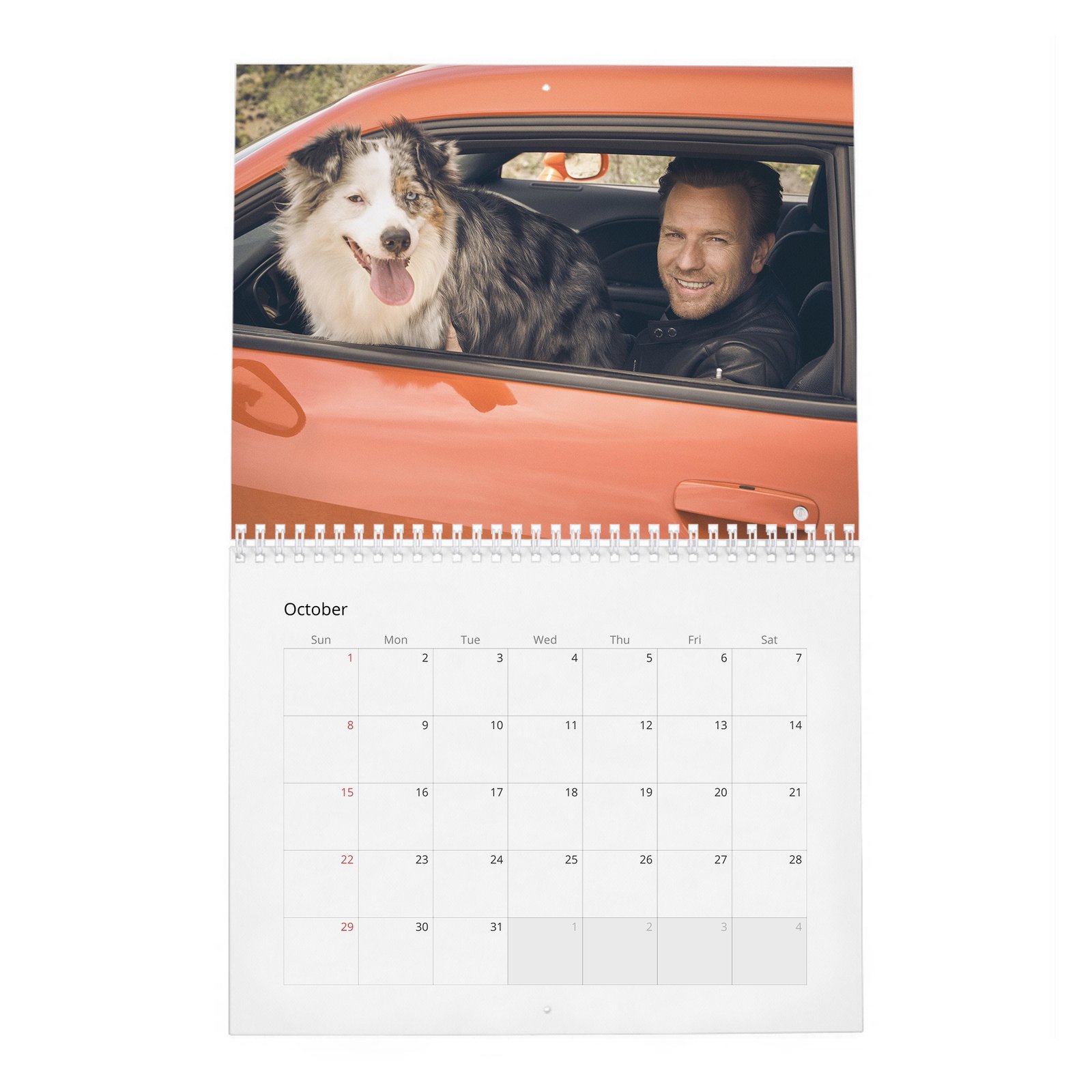 10 Ewan Mcgregor - Leading Man 2027 Wall Calendar