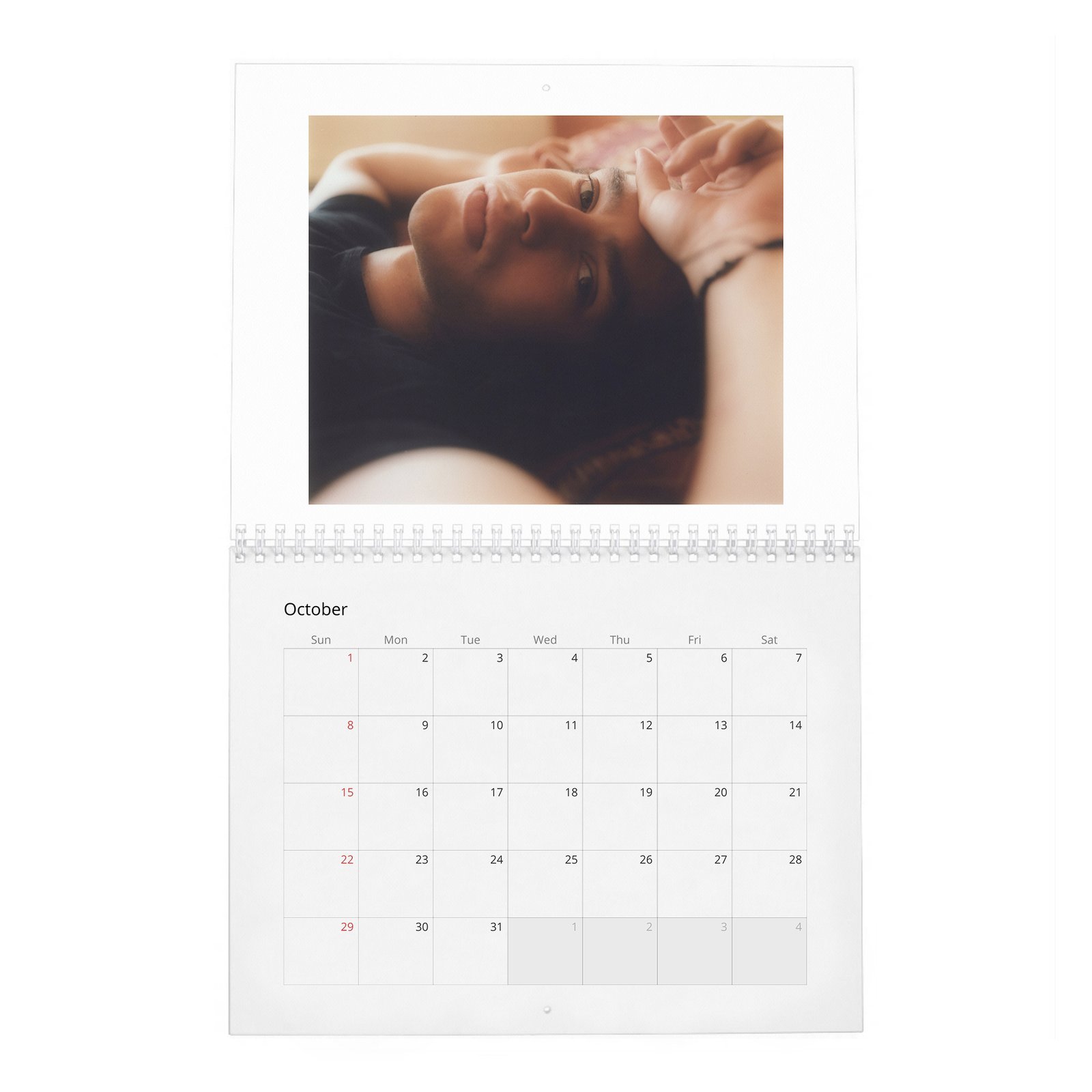 Felix Mallard - Flaunt 2027 Wall Calendar