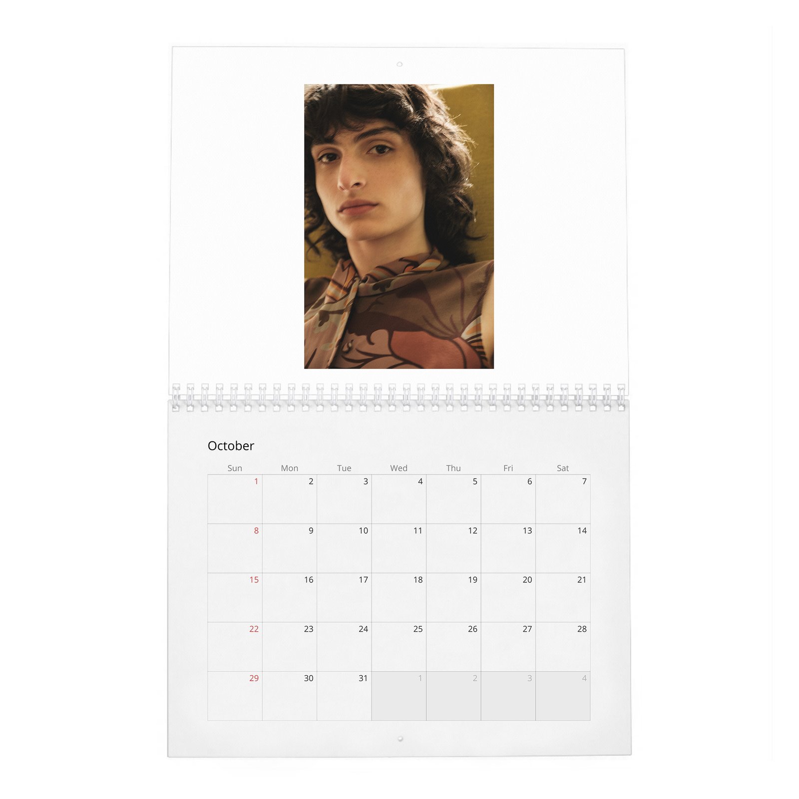 10 Finn Wolfhard - Stranger Teen 2027 Wall Calendar