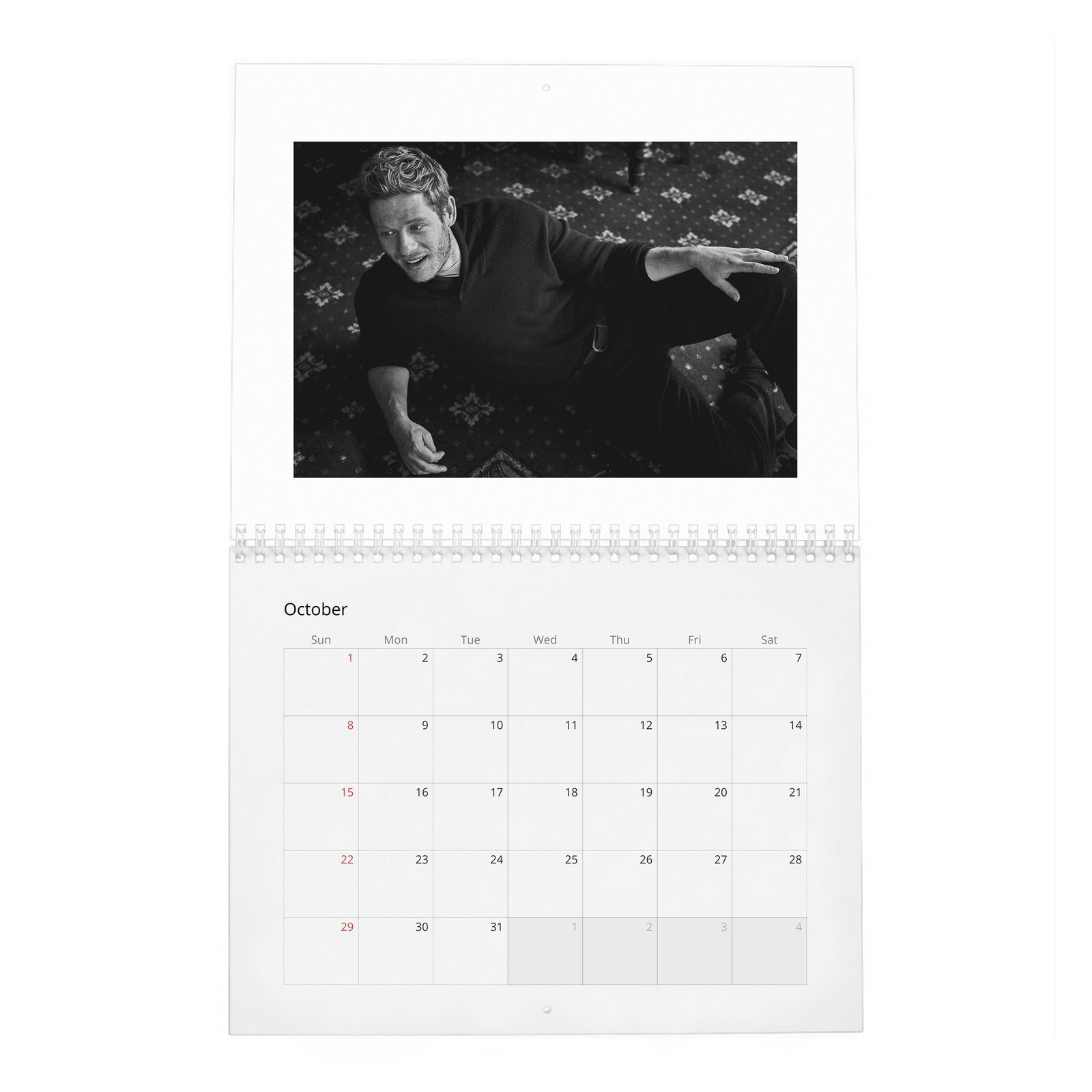 James Franco - The Real 2027 Wall Calendar