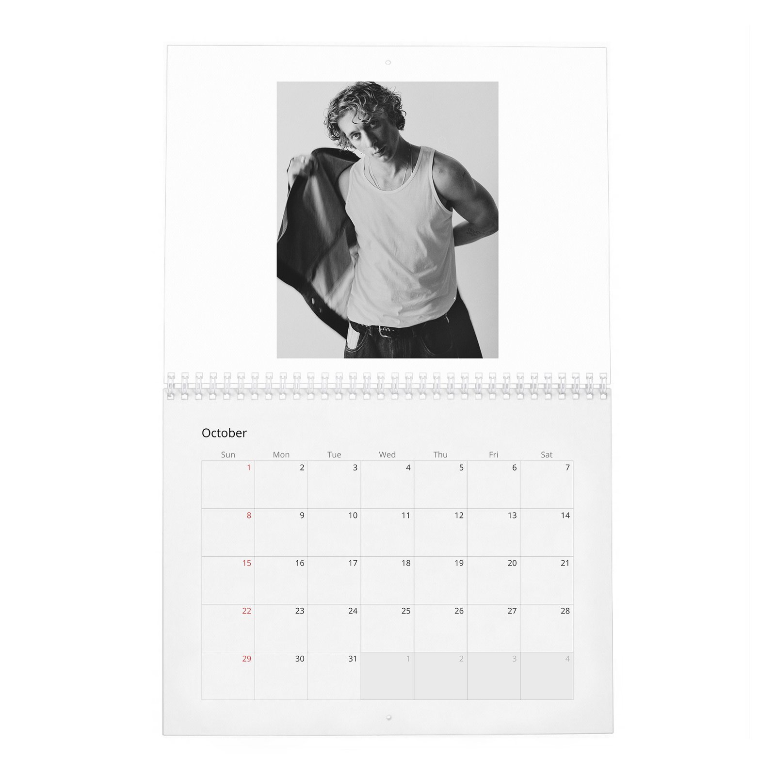 Jeremy Allen White - Yes Chef 2027 Wall Calendar
