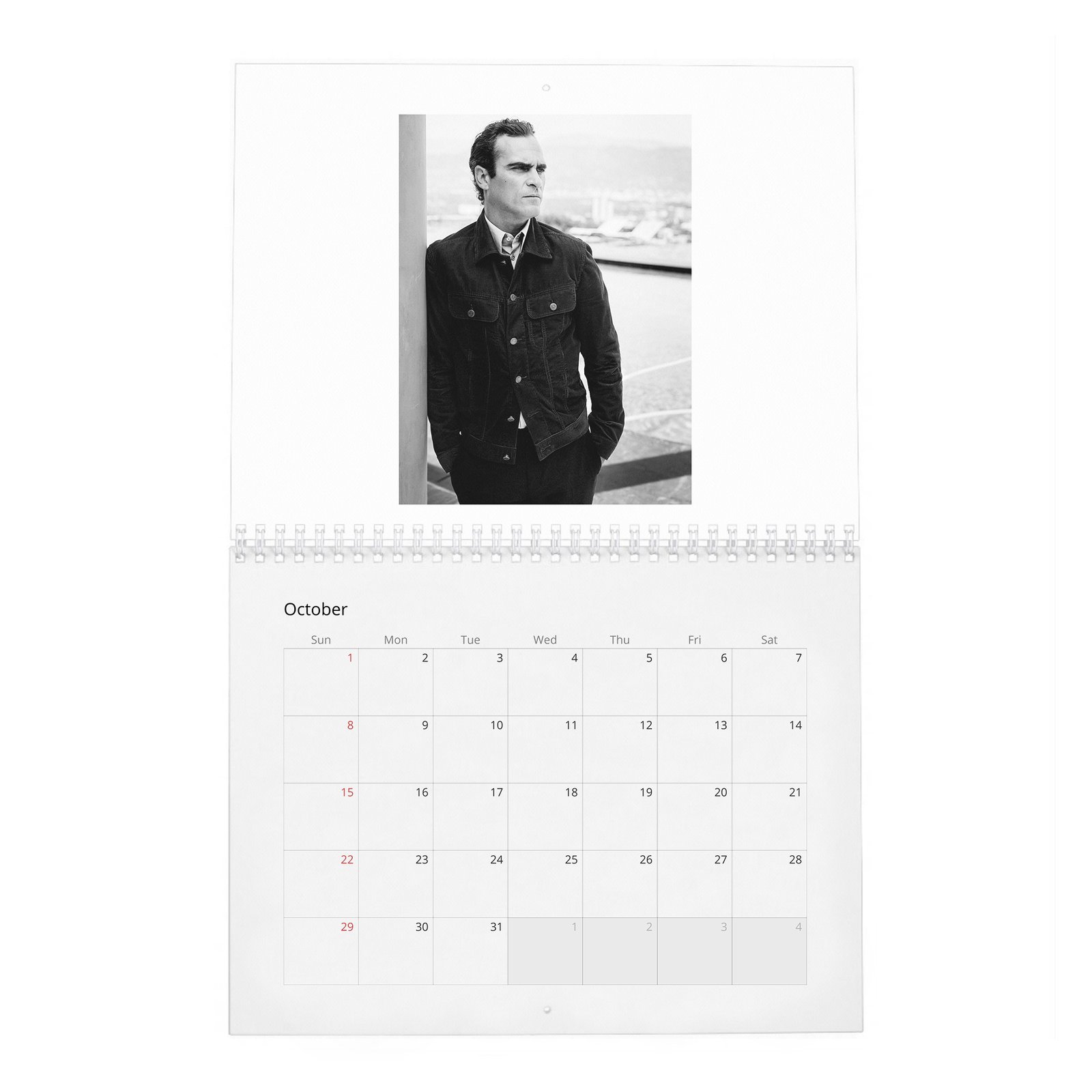 10 Joaquin Phoenix - Hollywood Rebel 2027 Wall Calendar