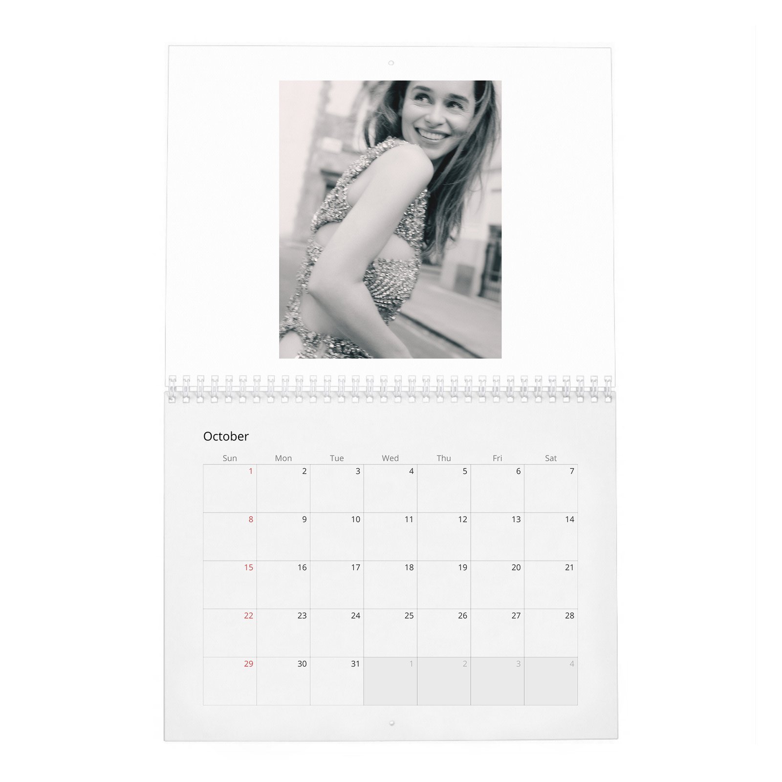 10 (2) Emilia Clarke - Power and Passion 2027 Wall Calendar