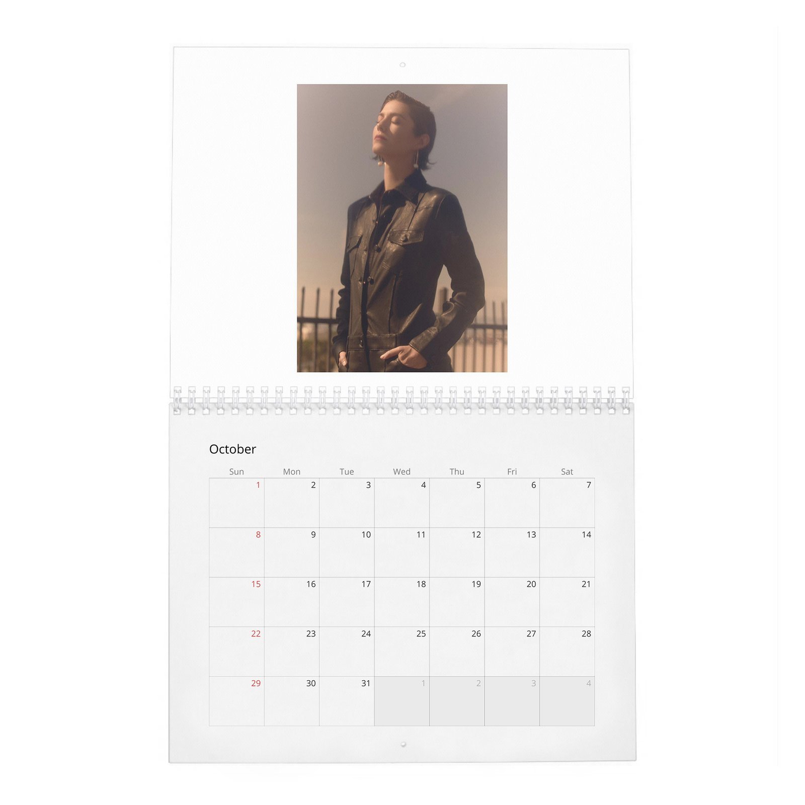 10 Mary Elizabeth Winstead - Laterals 2027 Wall Calendar
