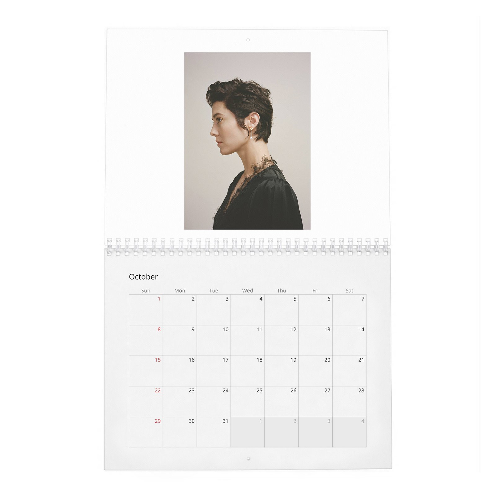 10 Mary Elizabeth Winstead - She Loves Playing The Badass 2027 Wall Calendar