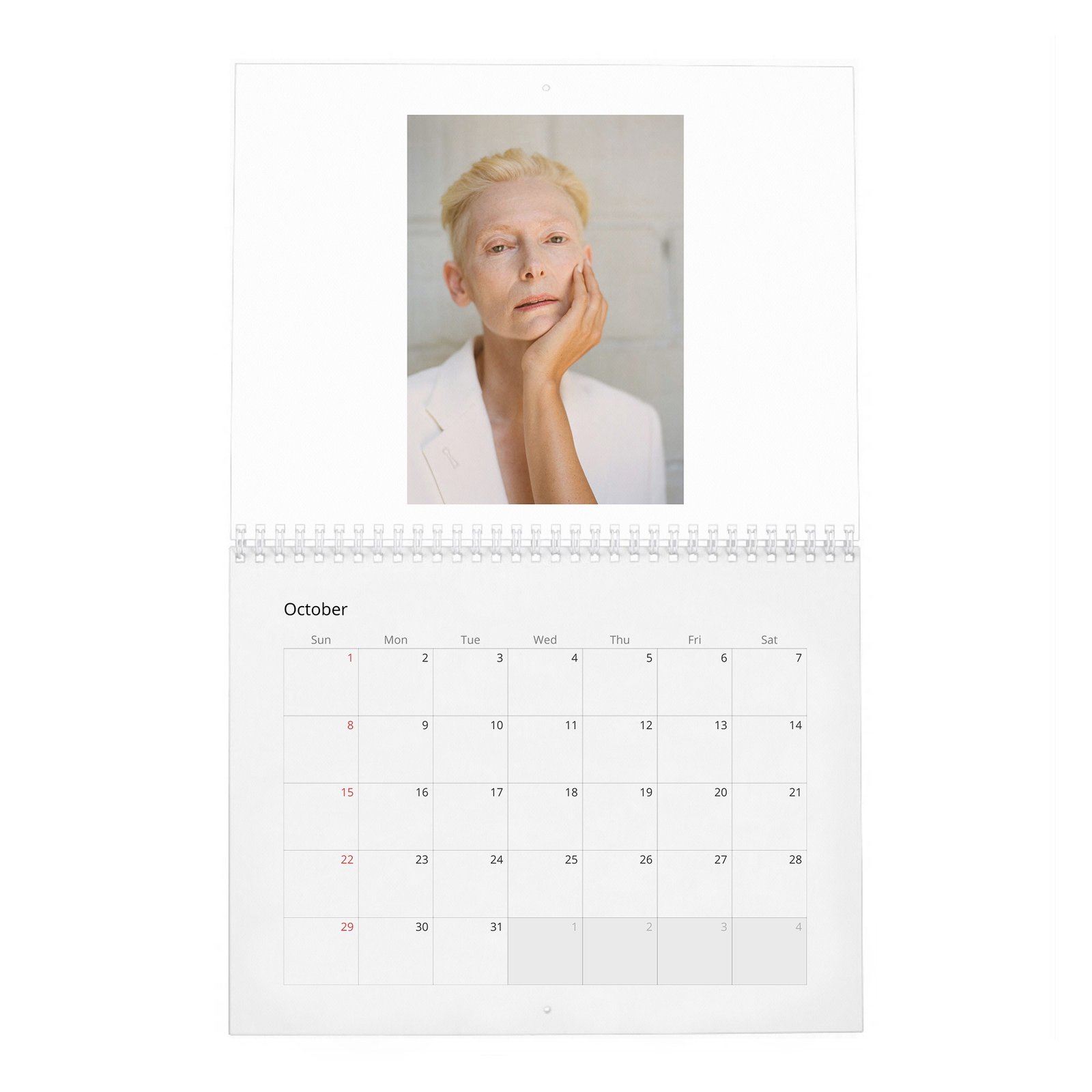 10 Tilda Swinton - Cine-Nerd 2027 Wall Calendar